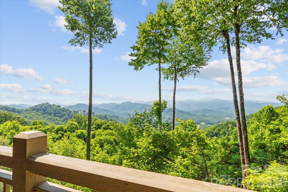 LONG-RANGE MOUNTAIN VIEWS - 530 Andrew Banks Road, Burnsville