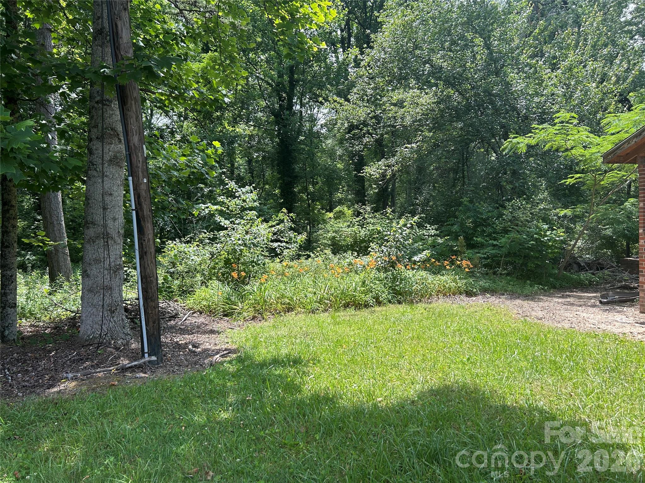 Lot at 3177 Haywood Road, Hendersonville, photo 4 of 6