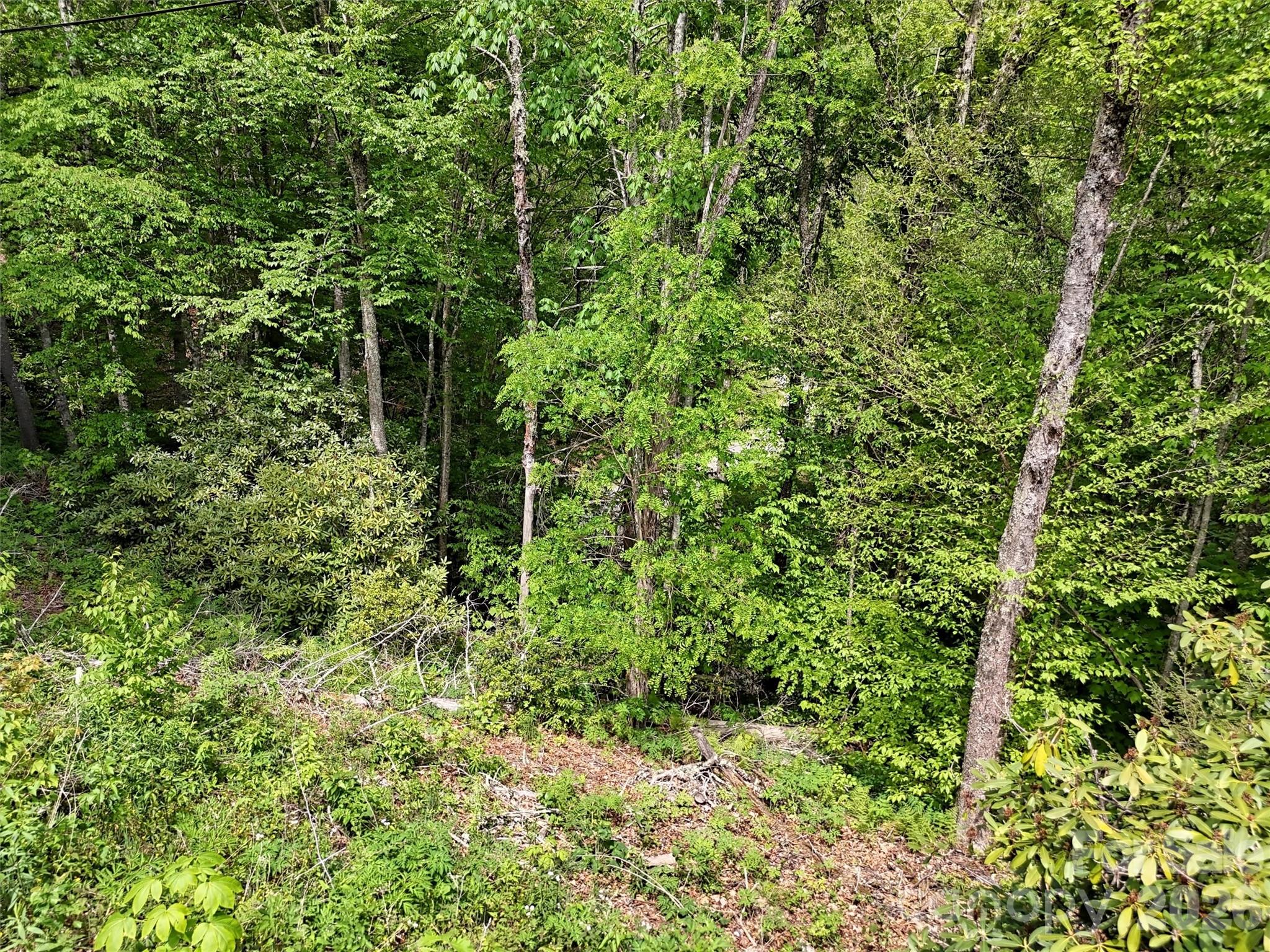 View of Property From Road - 00 Leatherwood Road, Maggie Valley