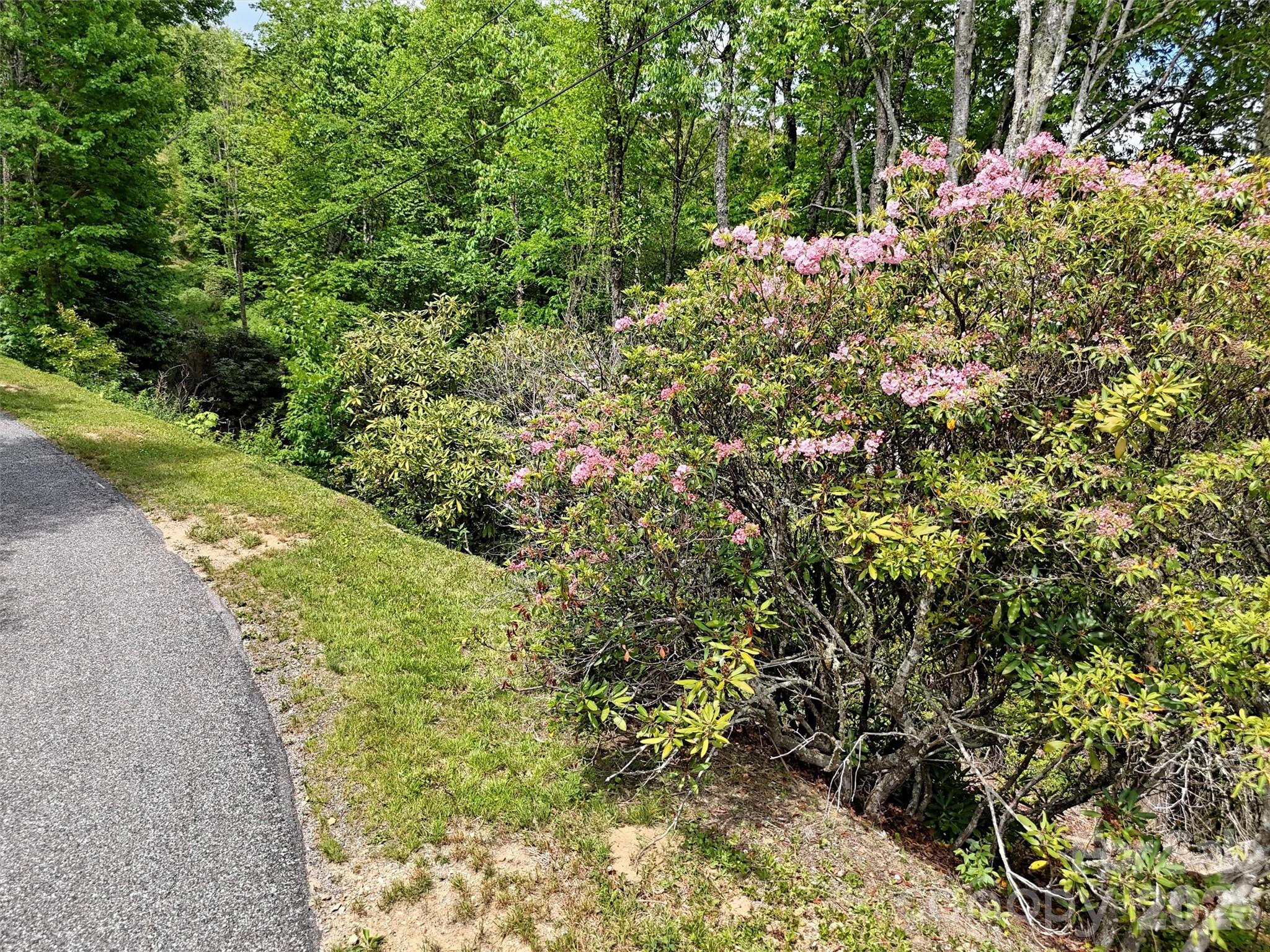 Property on Right - 00 Leatherwood Road, Maggie Valley