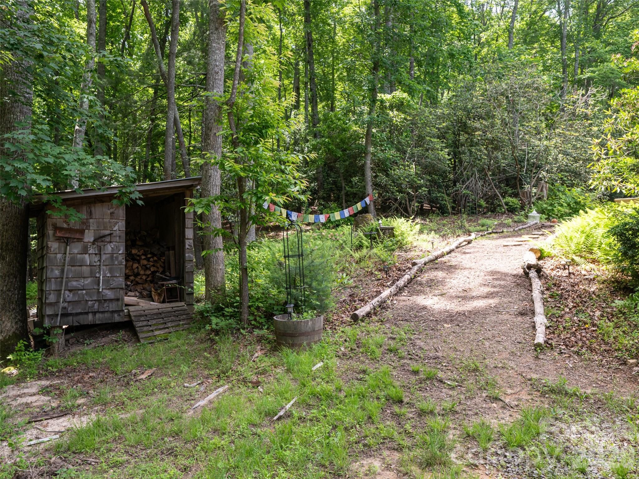 Private trails leading into Pisgah National Forest - walk, ride horses, 4 wheeler, whatever your fun! - 508 Avery Creek Road, Arden