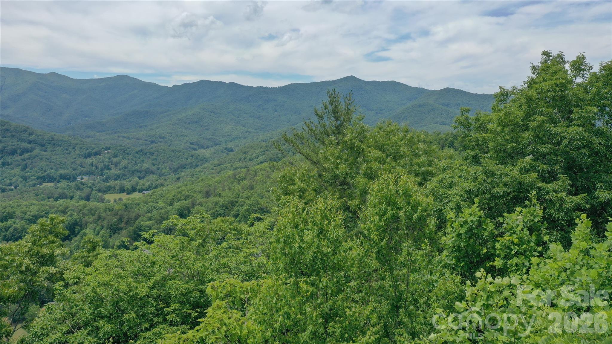 Tree top drone shot - 112 Kako Ridge, Sylva