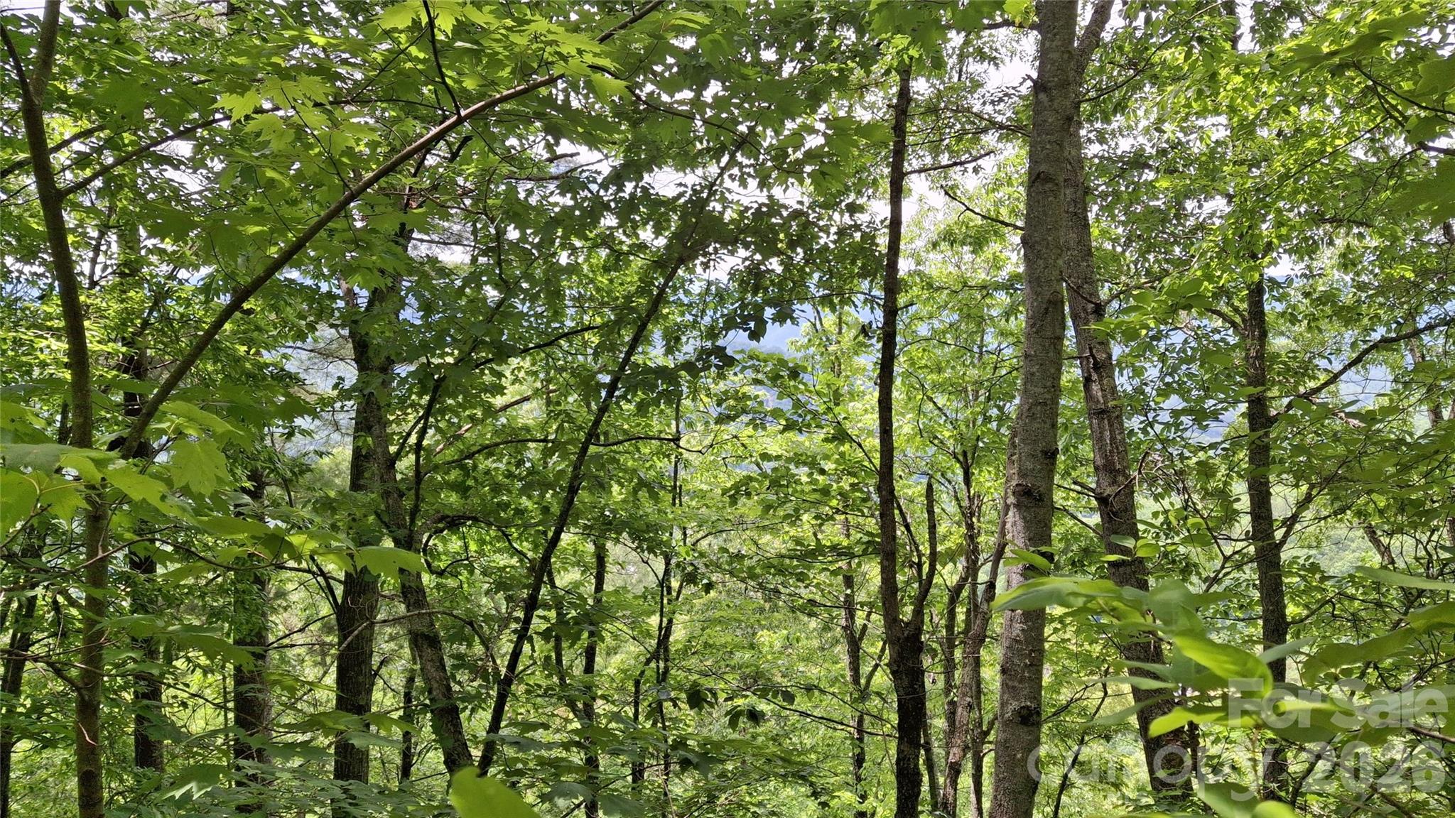 Lot at 112 Kako Ridge, Sylva, photo 16 of 18