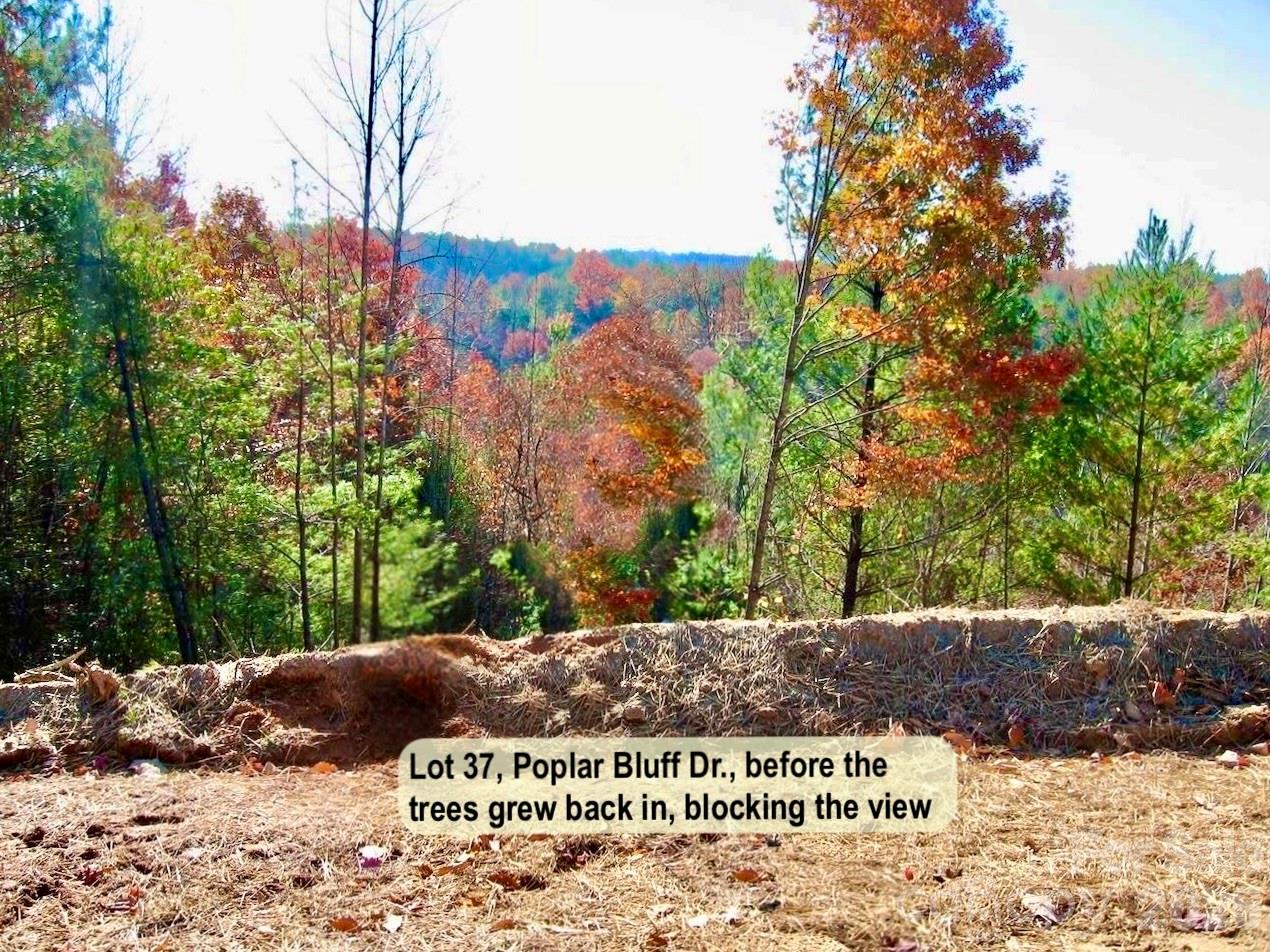 Lot at 3.31 acres, Lot 37 Poplar Bluff Drive SE, Lenoir, photo 4 of 48