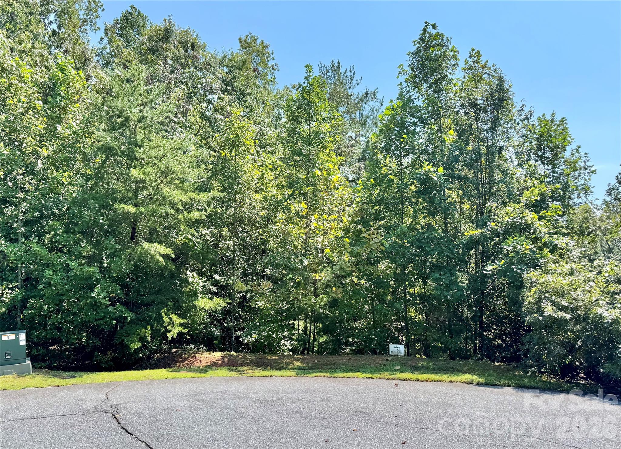 Lot at 3.31 acres, Lot 37 Poplar Bluff Drive SE, Lenoir, photo 2 of 48