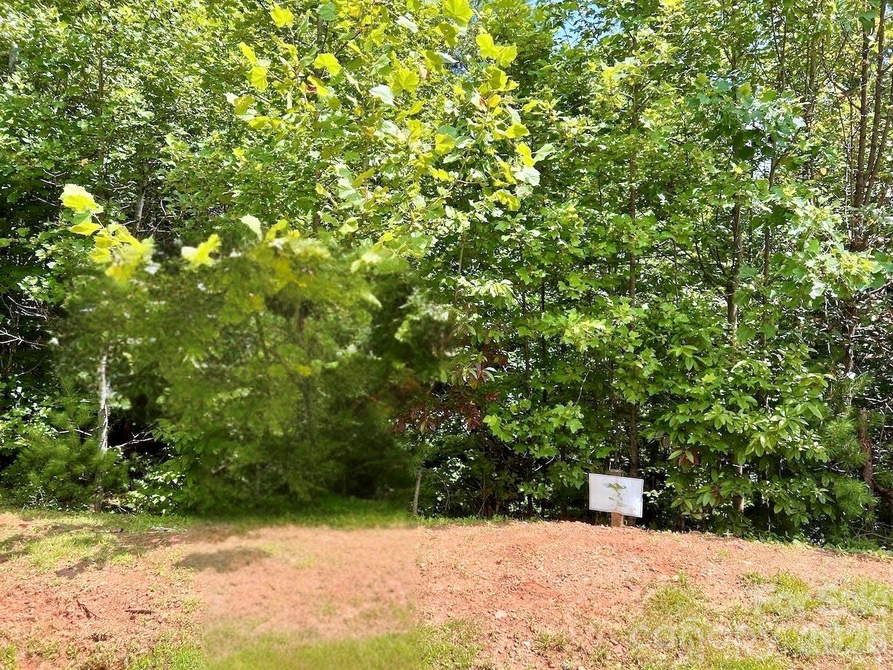 Lot at 3.31 acres, Lot 37 Poplar Bluff Drive SE, Lenoir, photo 5 of 48