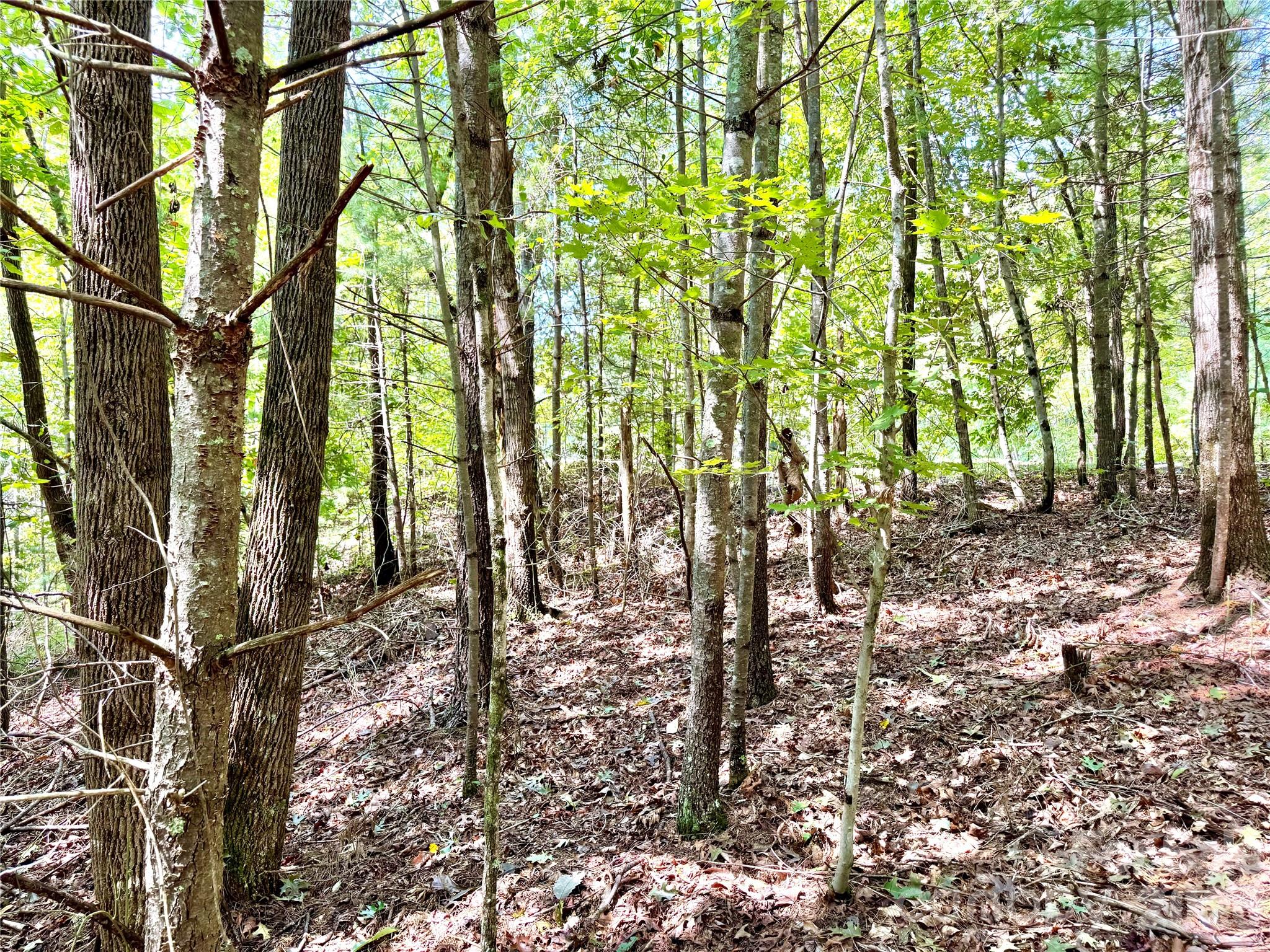 Lot at 3.31 acres, Lot 37 Poplar Bluff Drive SE, Lenoir, photo 11 of 48