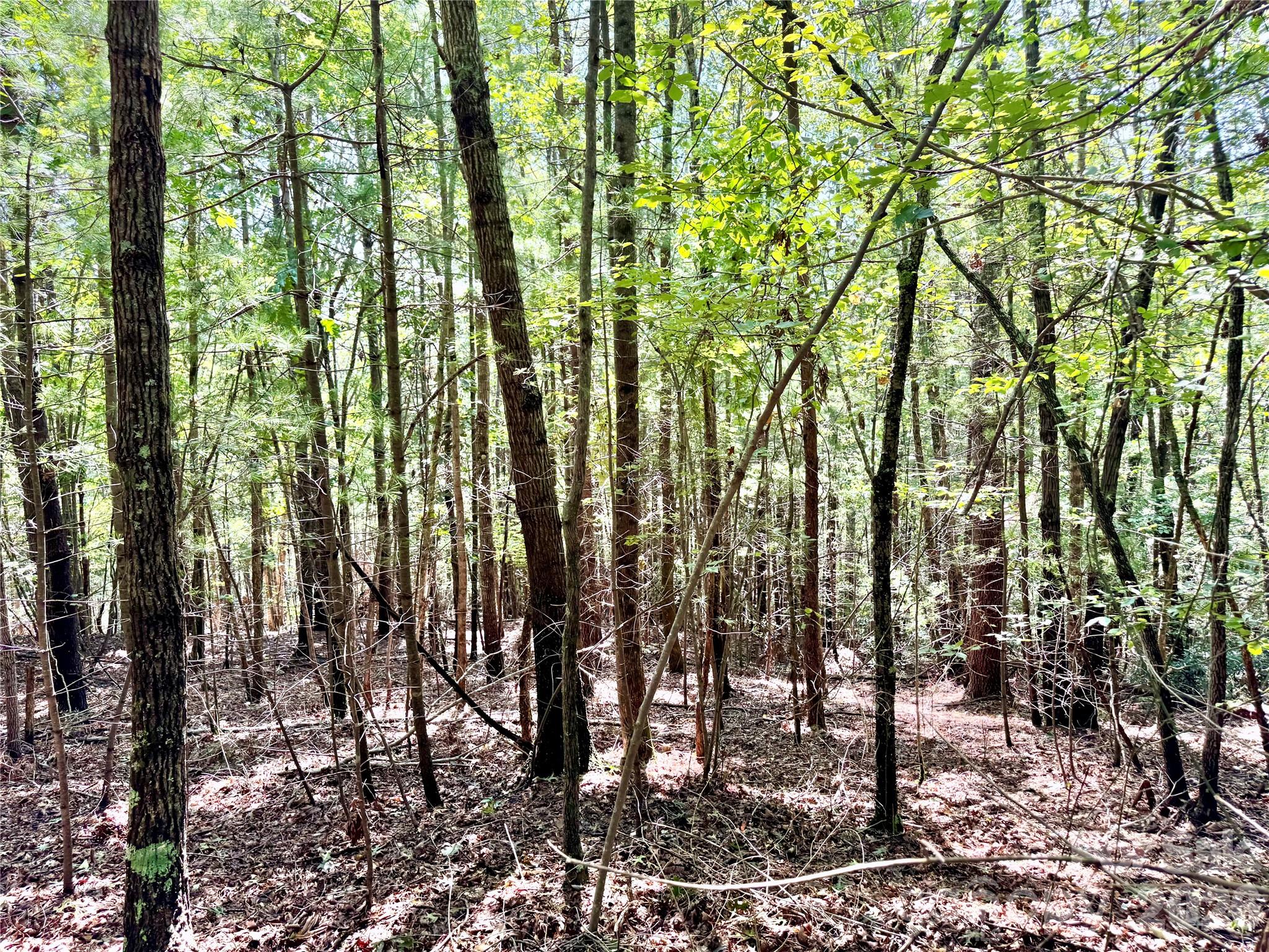 Lot at 3.31 acres, Lot 37 Poplar Bluff Drive SE, Lenoir, photo 12 of 48