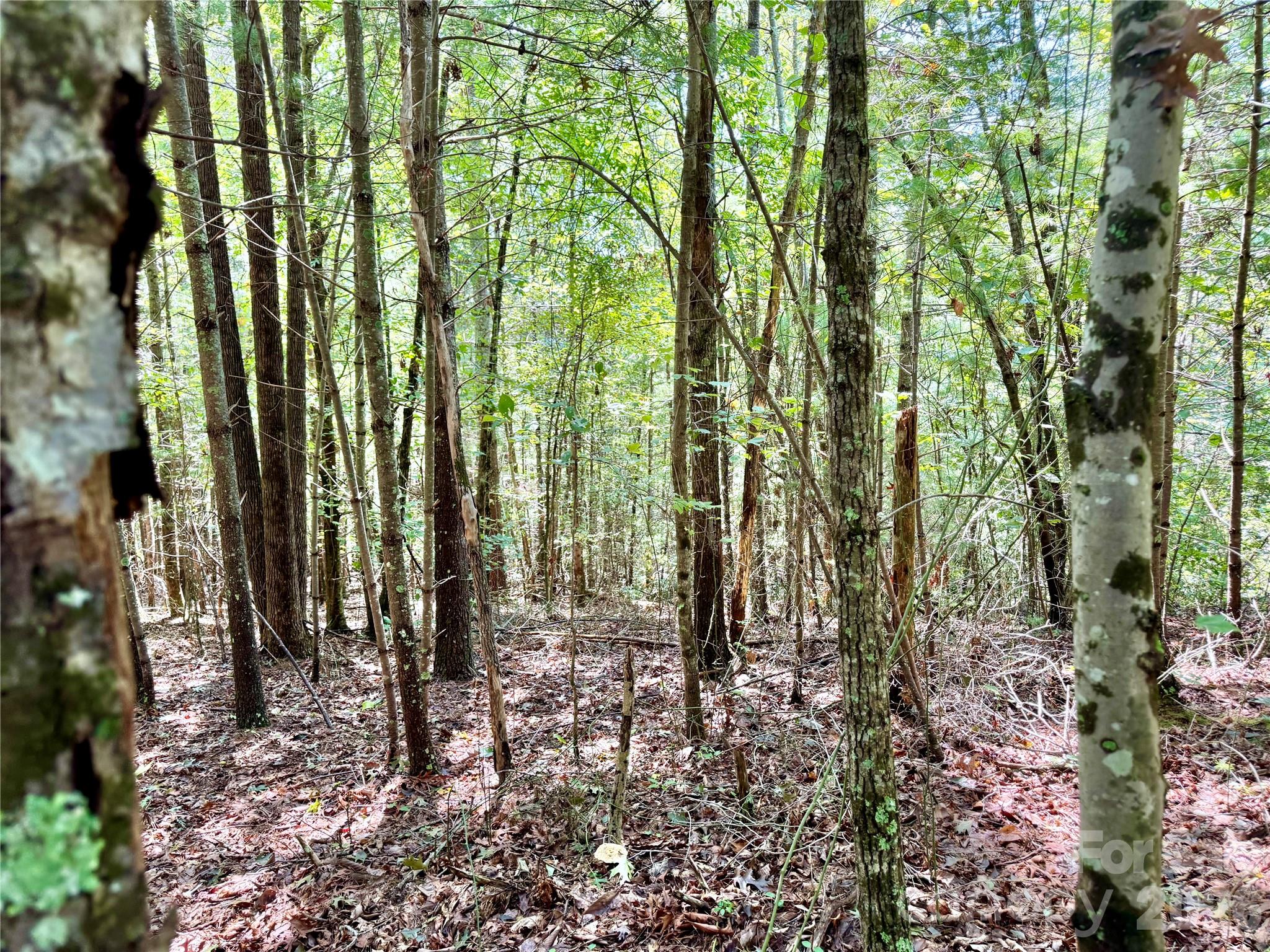 Lot at 3.31 acres, Lot 37 Poplar Bluff Drive SE, Lenoir, photo 14 of 48