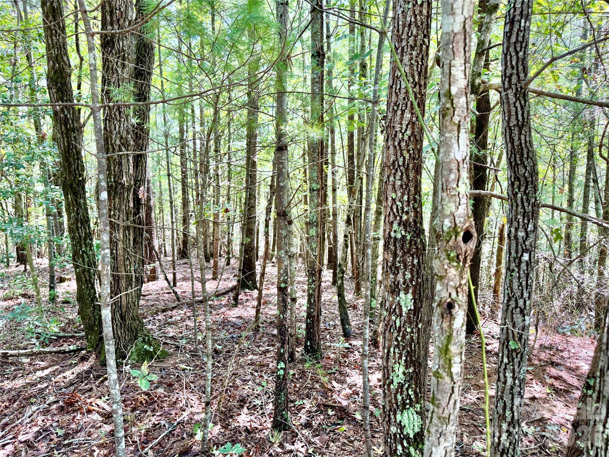Lot at 3.31 acres, Lot 37 Poplar Bluff Drive SE, Lenoir, photo 16 of 48