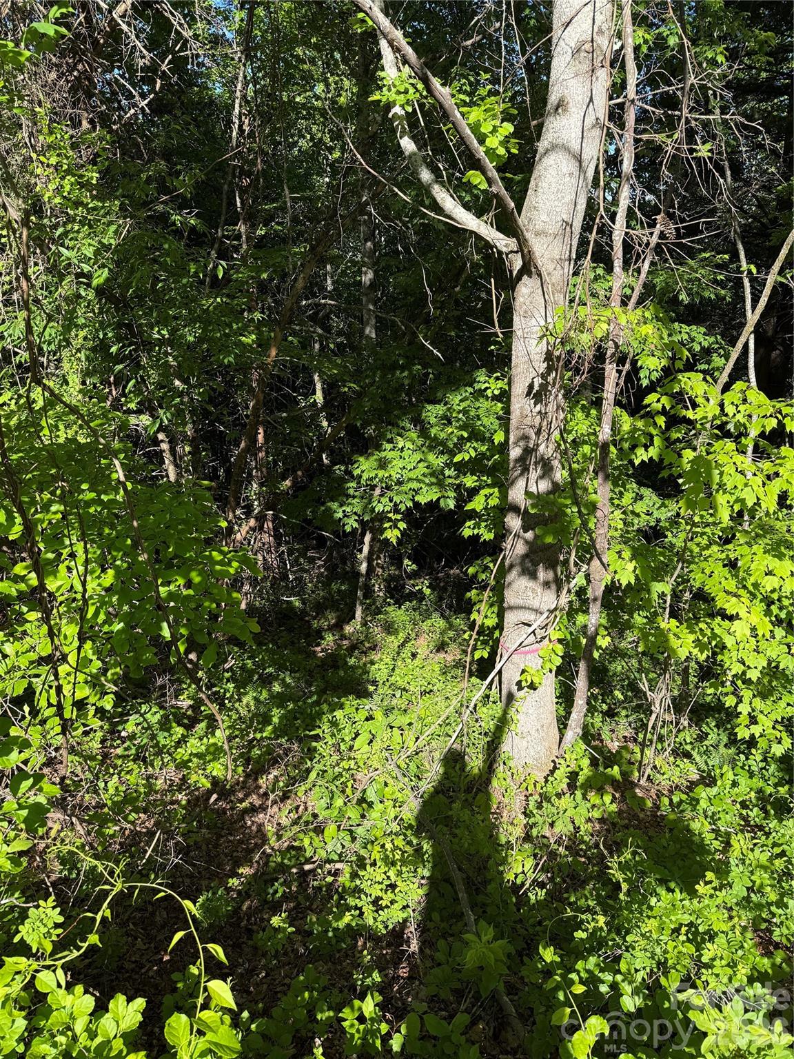 Lot at 9999 Hunters Ridge Road, Canton, photo 3 of 19