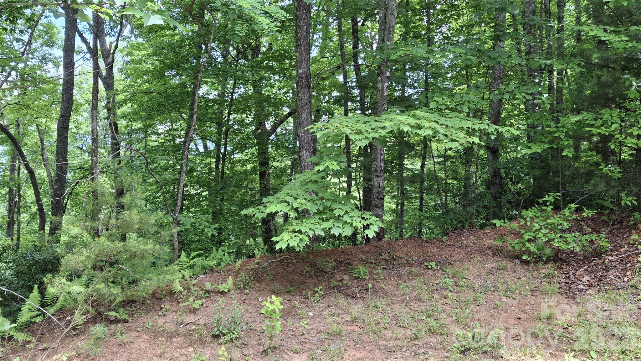 Lot at 77 Kako Ridge, Sylva, photo 6 of 19