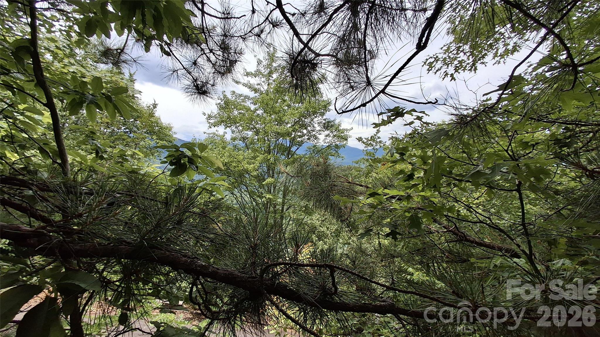 Lot at 77 Kako Ridge, Sylva, photo 13 of 19