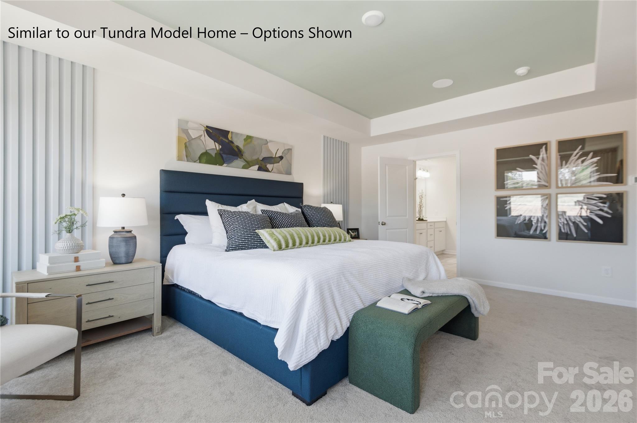 Owner's Suite with Tray Ceiling to Enhance the Room and Space - 6063 White Aster Lane, Charlotte