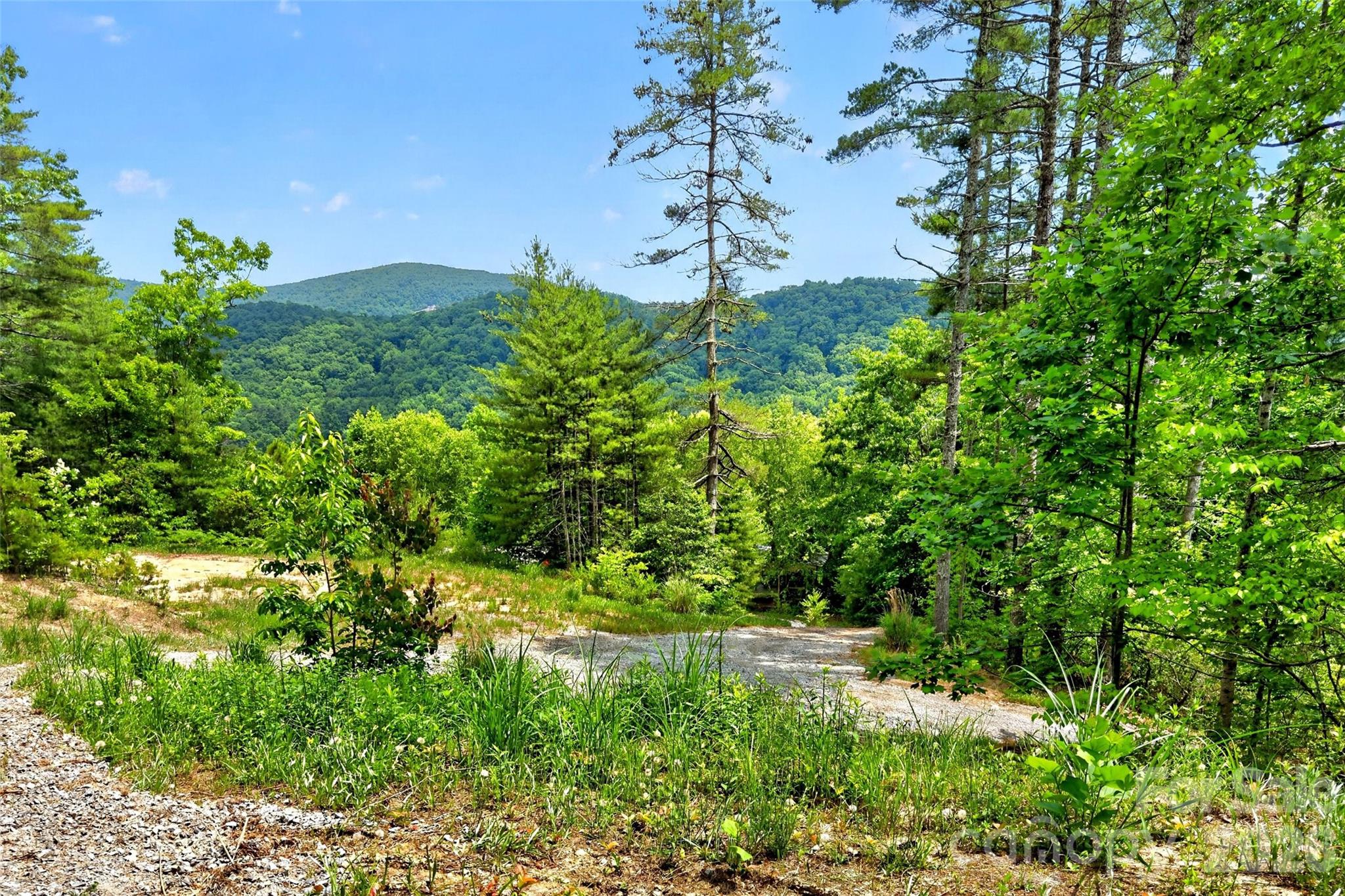 Acreage at 259 E Lester Lane, Hendersonville, photo 3 of 38