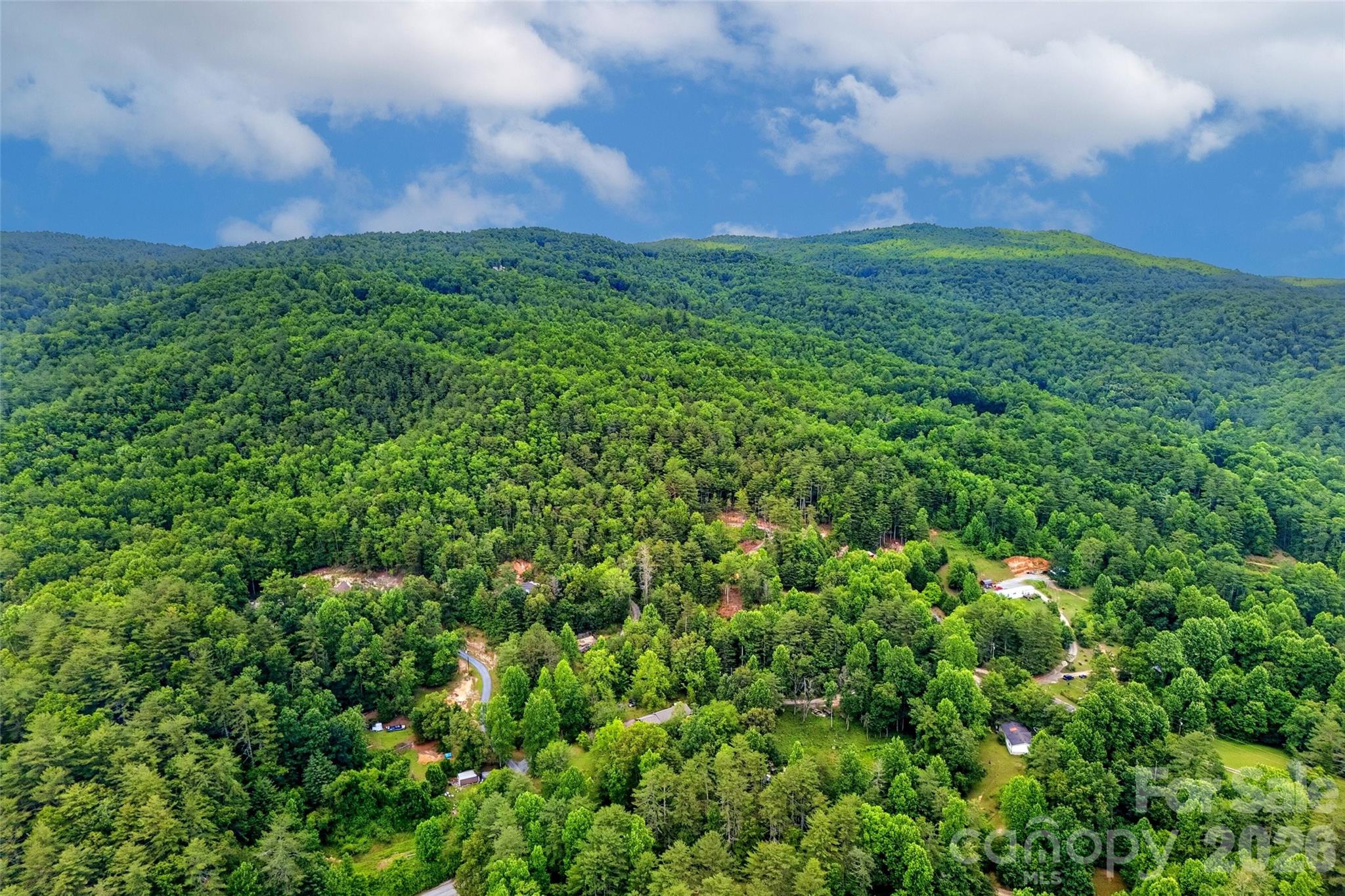 Acreage at 259 E Lester Lane, Hendersonville, photo 14 of 38