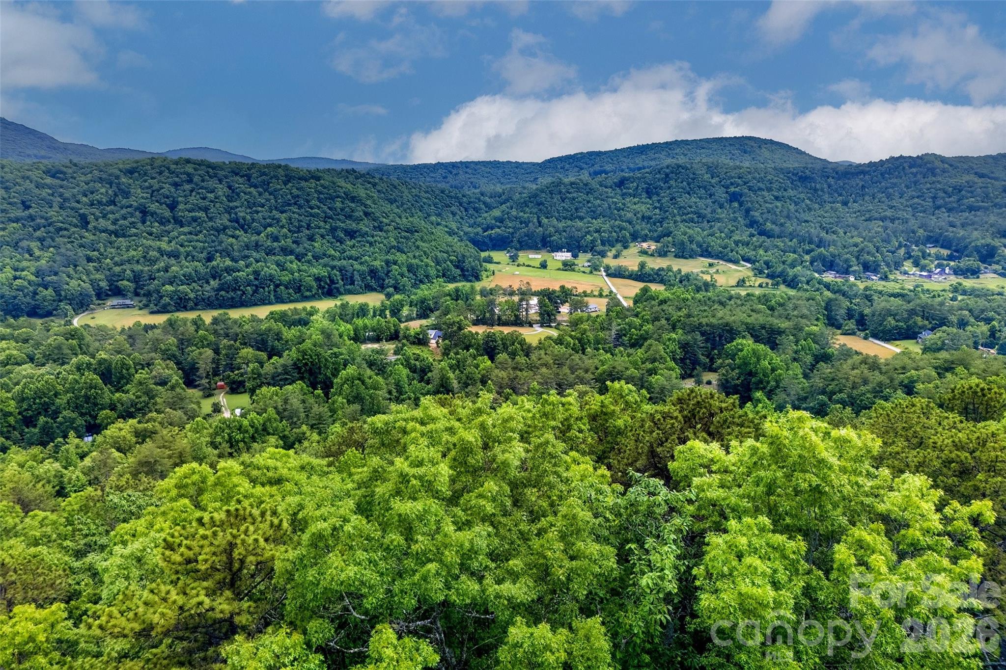 Acreage at 259 E Lester Lane, Hendersonville, photo 16 of 38