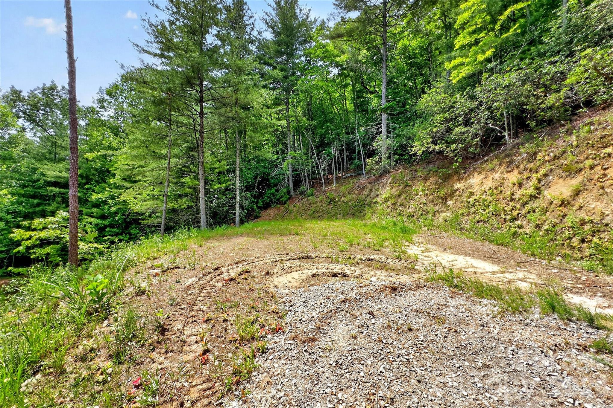 Acreage at 259 E Lester Lane, Hendersonville, photo 17 of 38