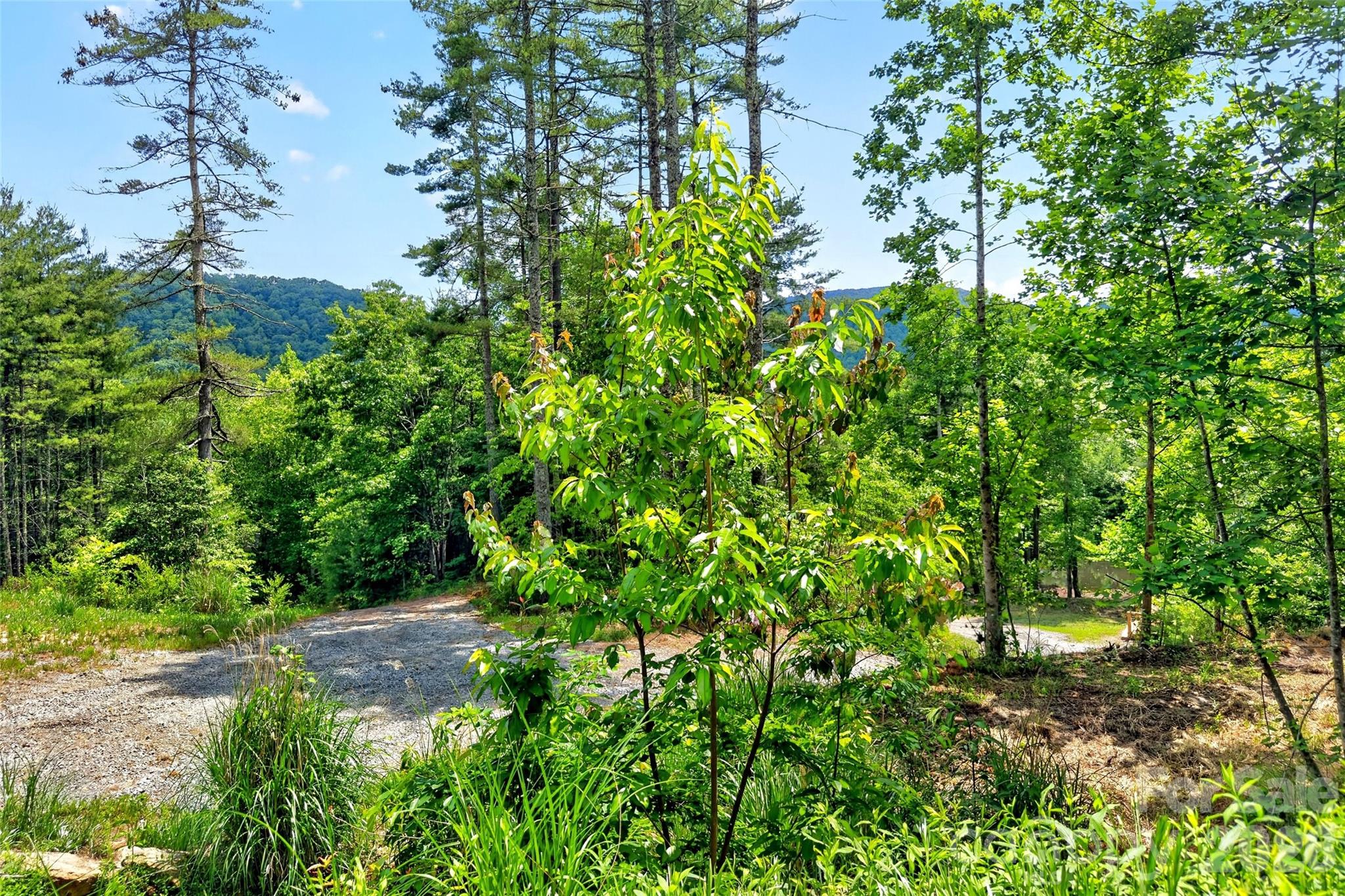 Acreage at 259 E Lester Lane, Hendersonville, photo 18 of 38