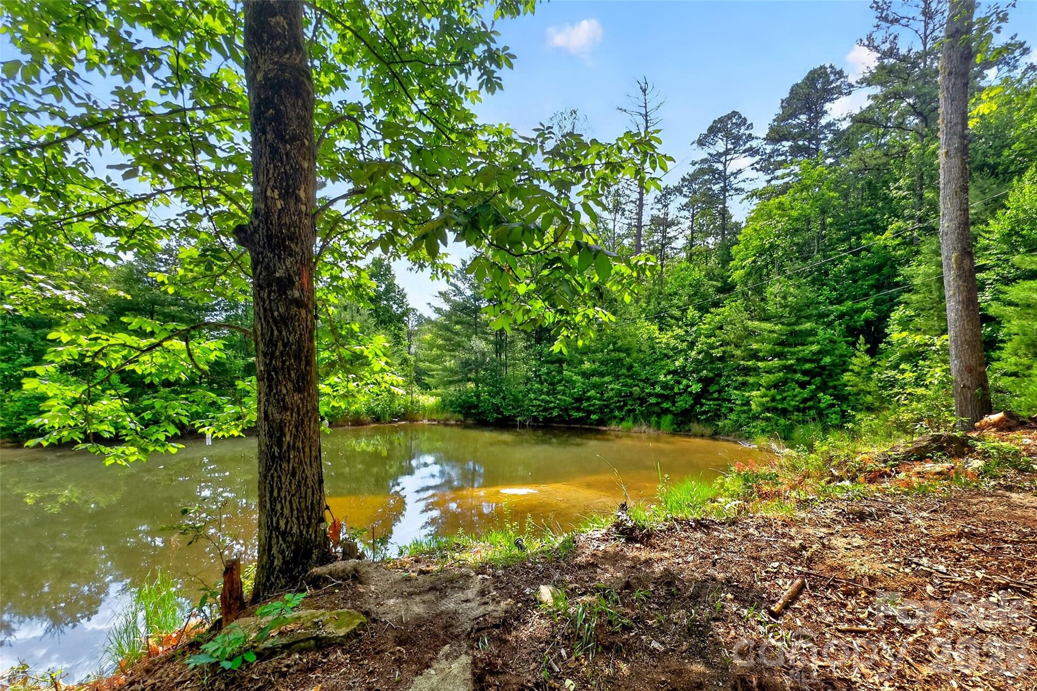Acreage at 259 E Lester Lane, Hendersonville, photo 2 of 38