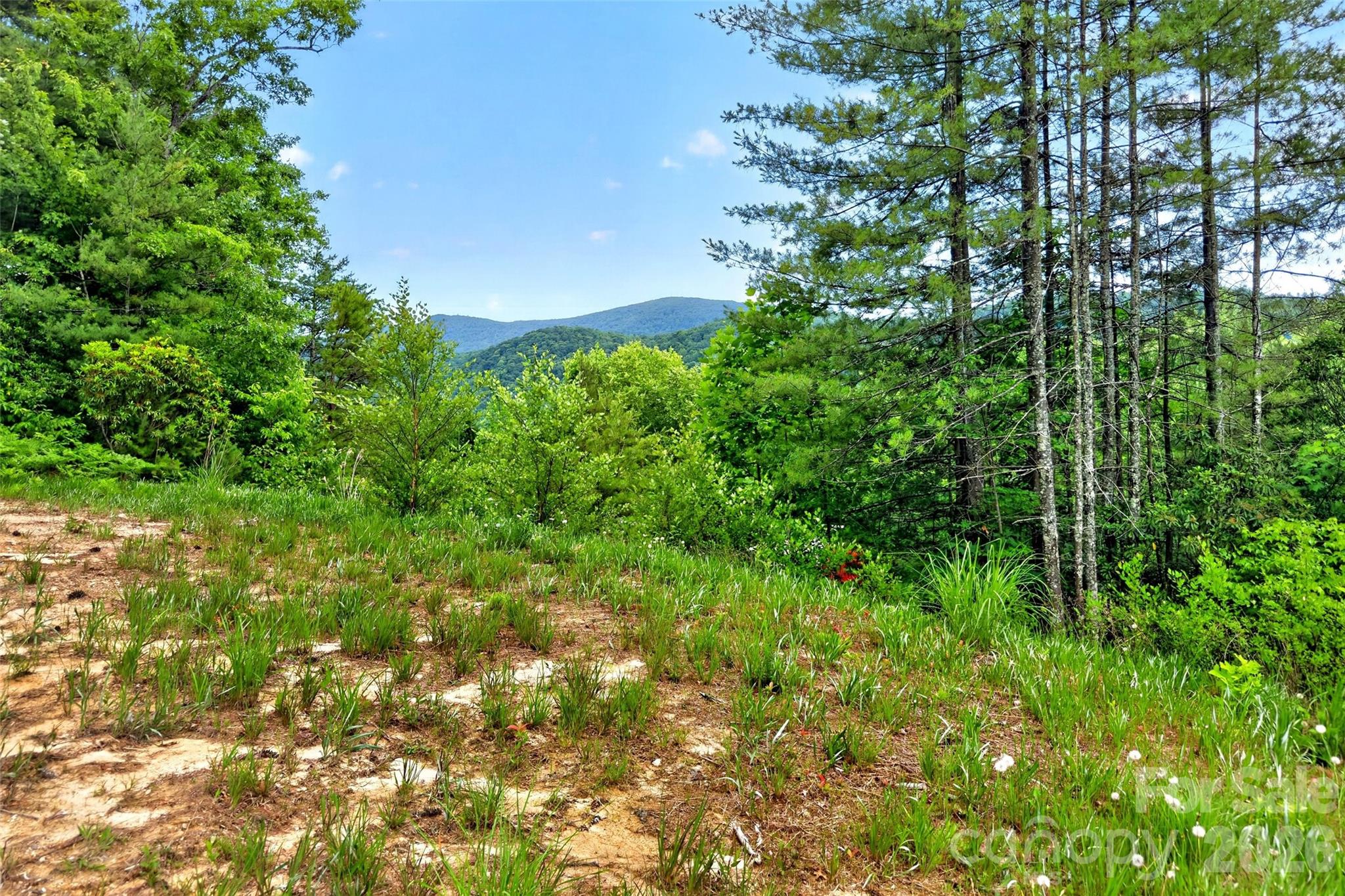 Acreage at 259 E Lester Lane, Hendersonville, photo 28 of 38