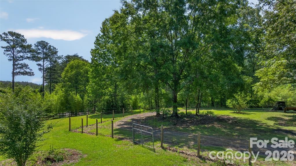 Beautiful trees spot the property for shade. - 00 Misery Ridge Trail, Mill Spring