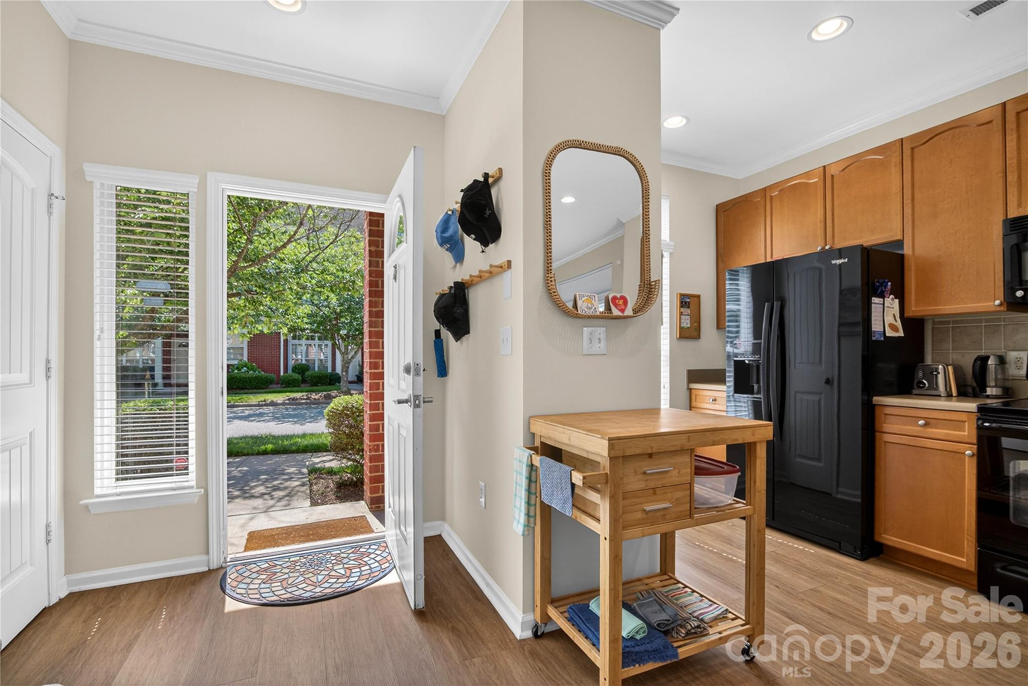 Front Entry into Foyer - 278 Davidson Gateway Drive, Davidson