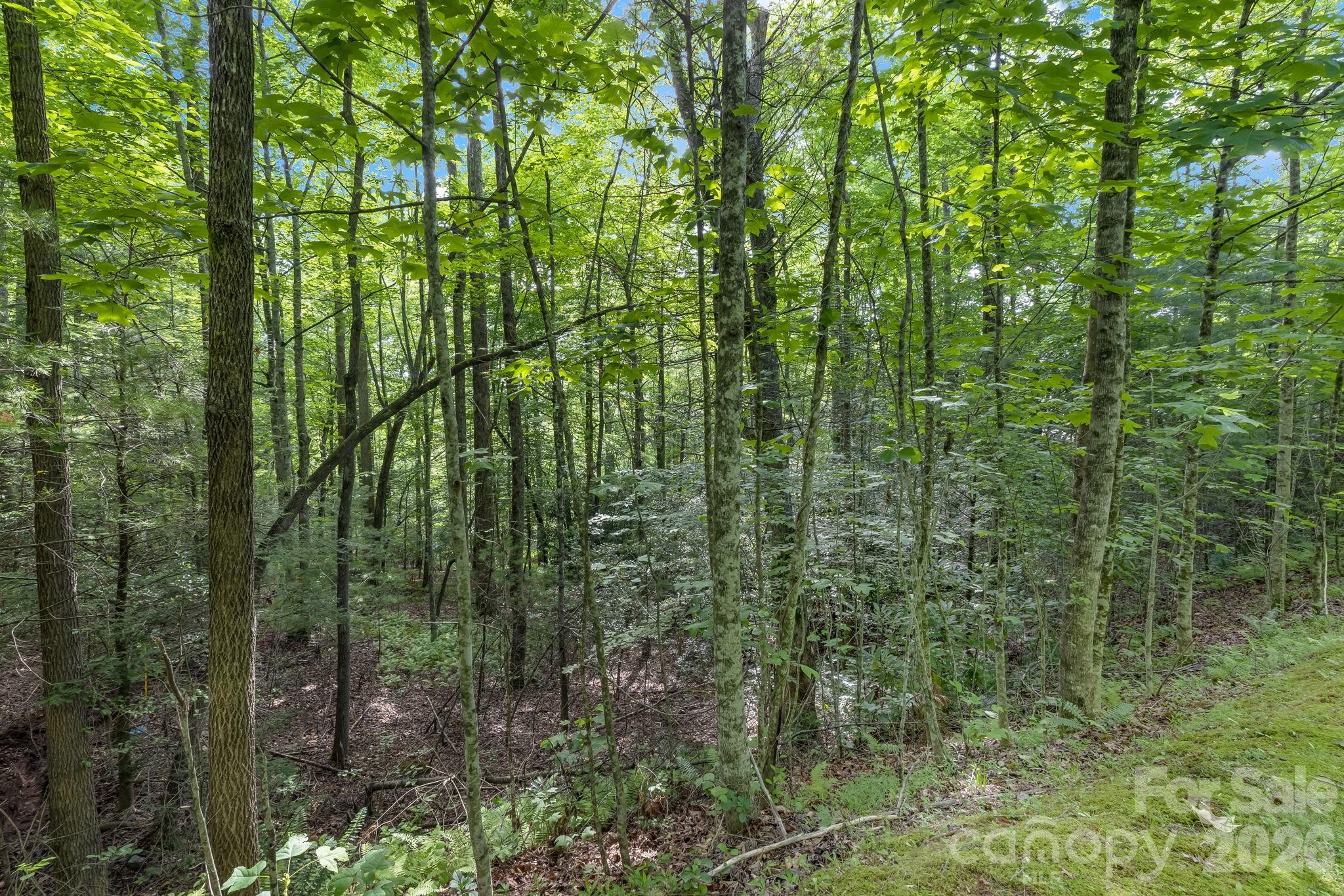 Lot at TBD Allison Creek Trail, Brevard, photo 18 of 44