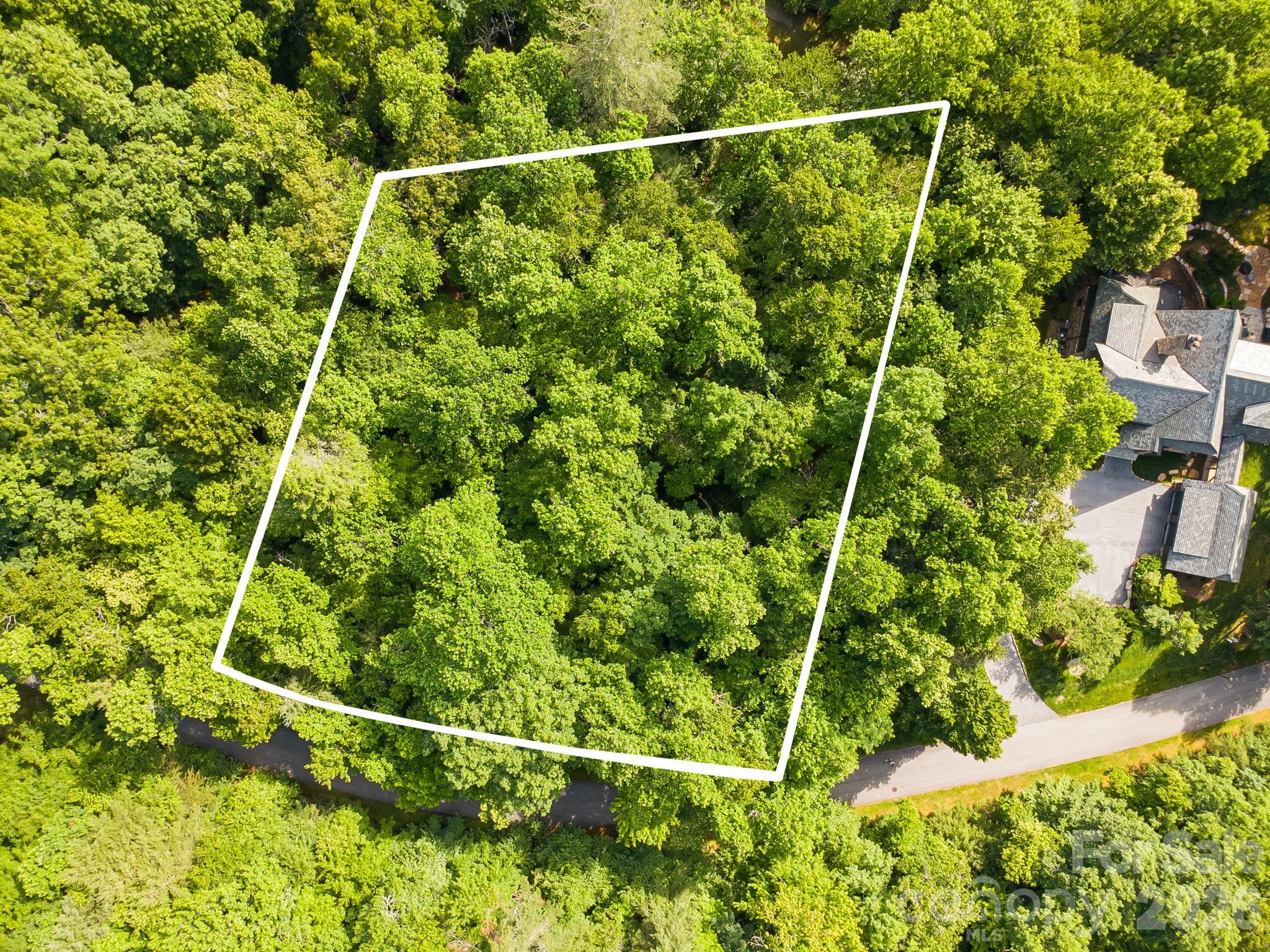 Lot at TBD Allison Creek Trail, Brevard, photo 40 of 44