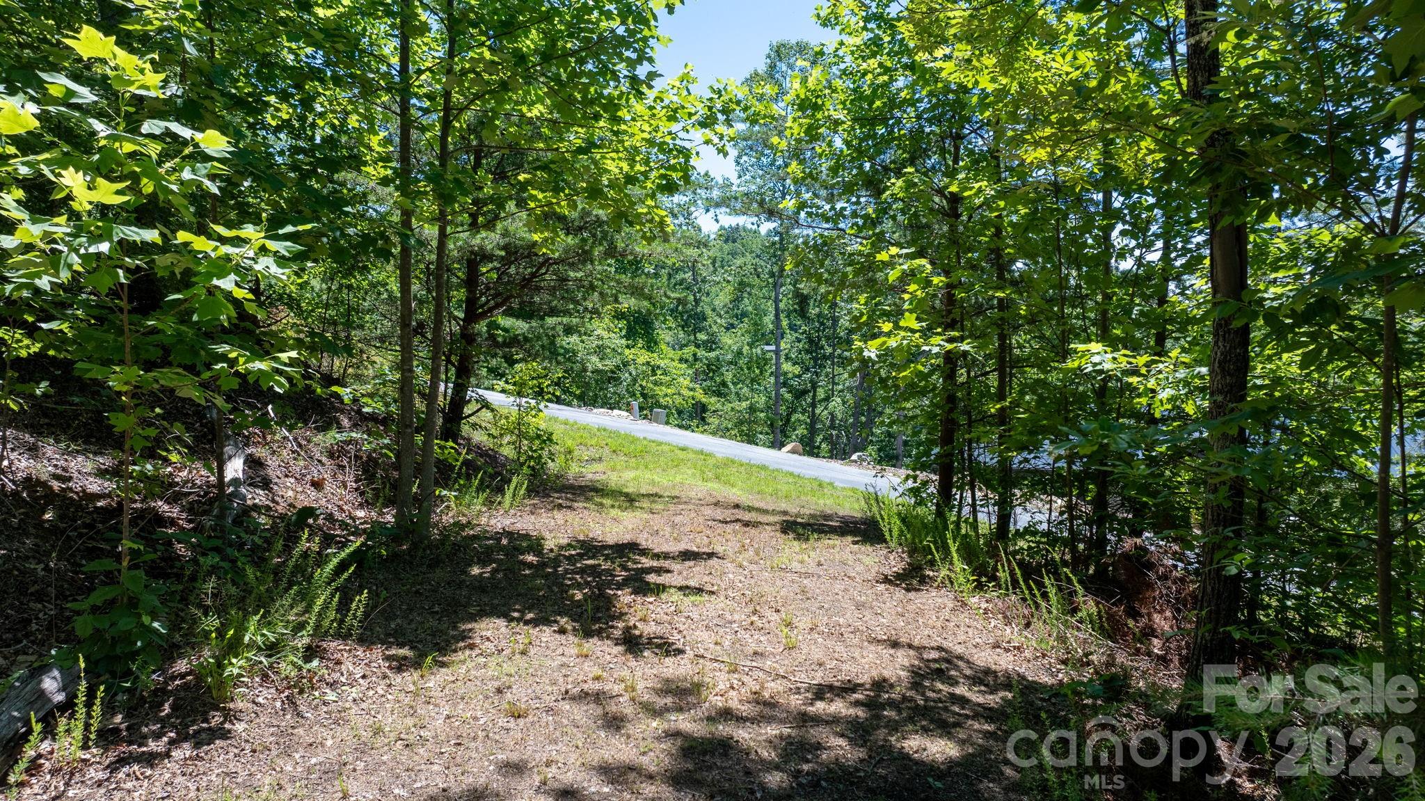 Acreage at 108 Mountain Brook Trail, Nebo, photo 4 of 22