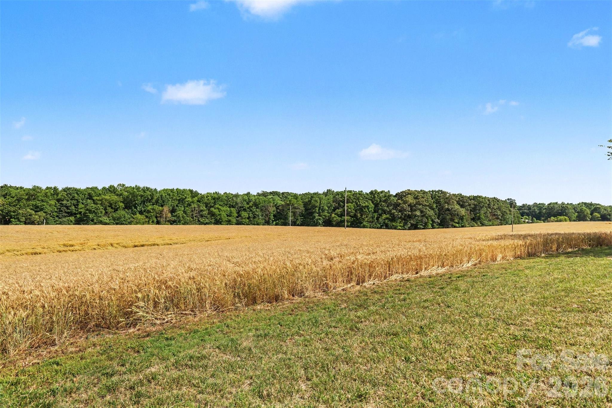 Acreage at 6710 Effie Whitley Road, Monroe, photo 4 of 48