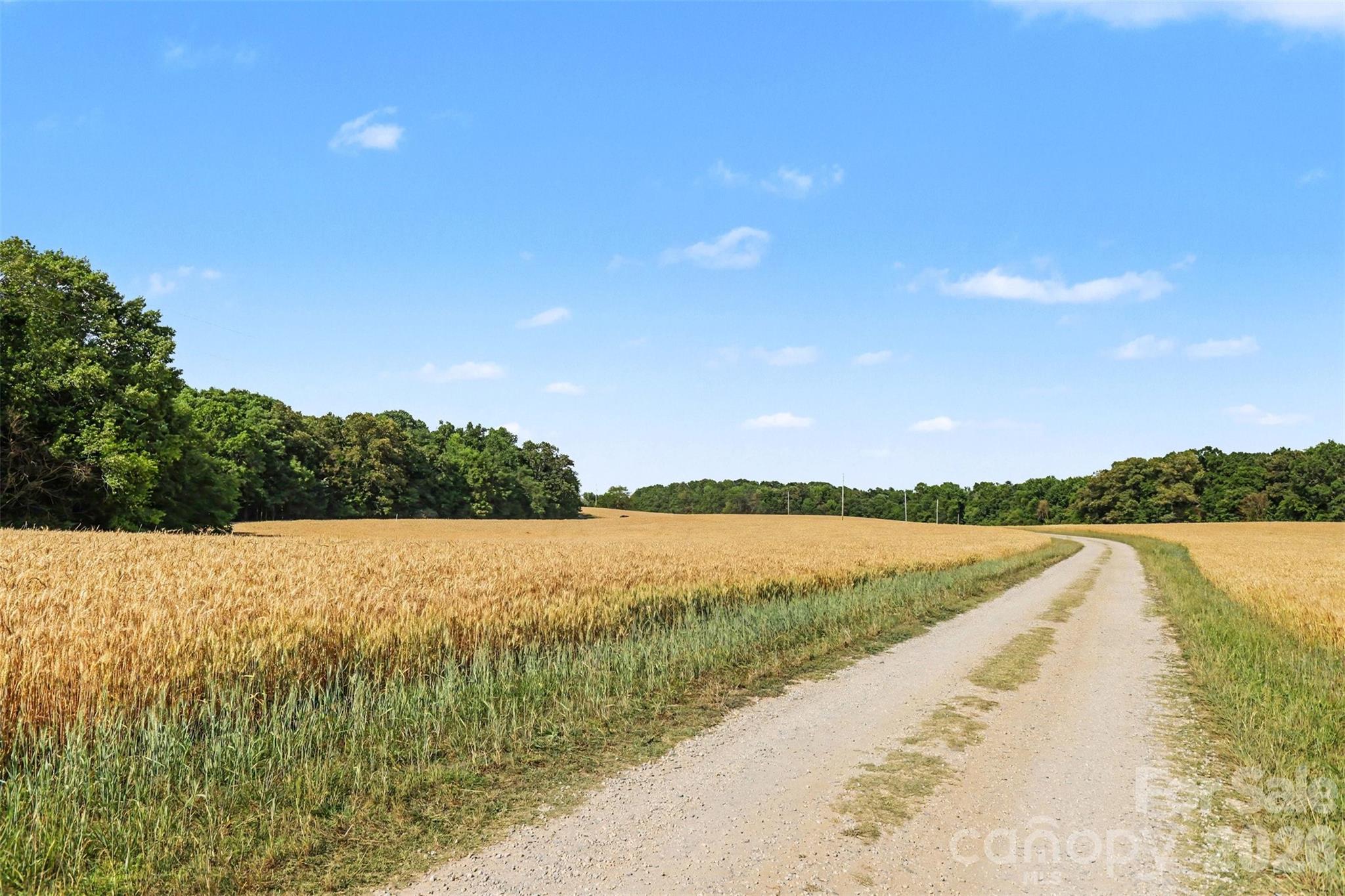 Acreage at 6710 Effie Whitley Road, Monroe, photo 2 of 48