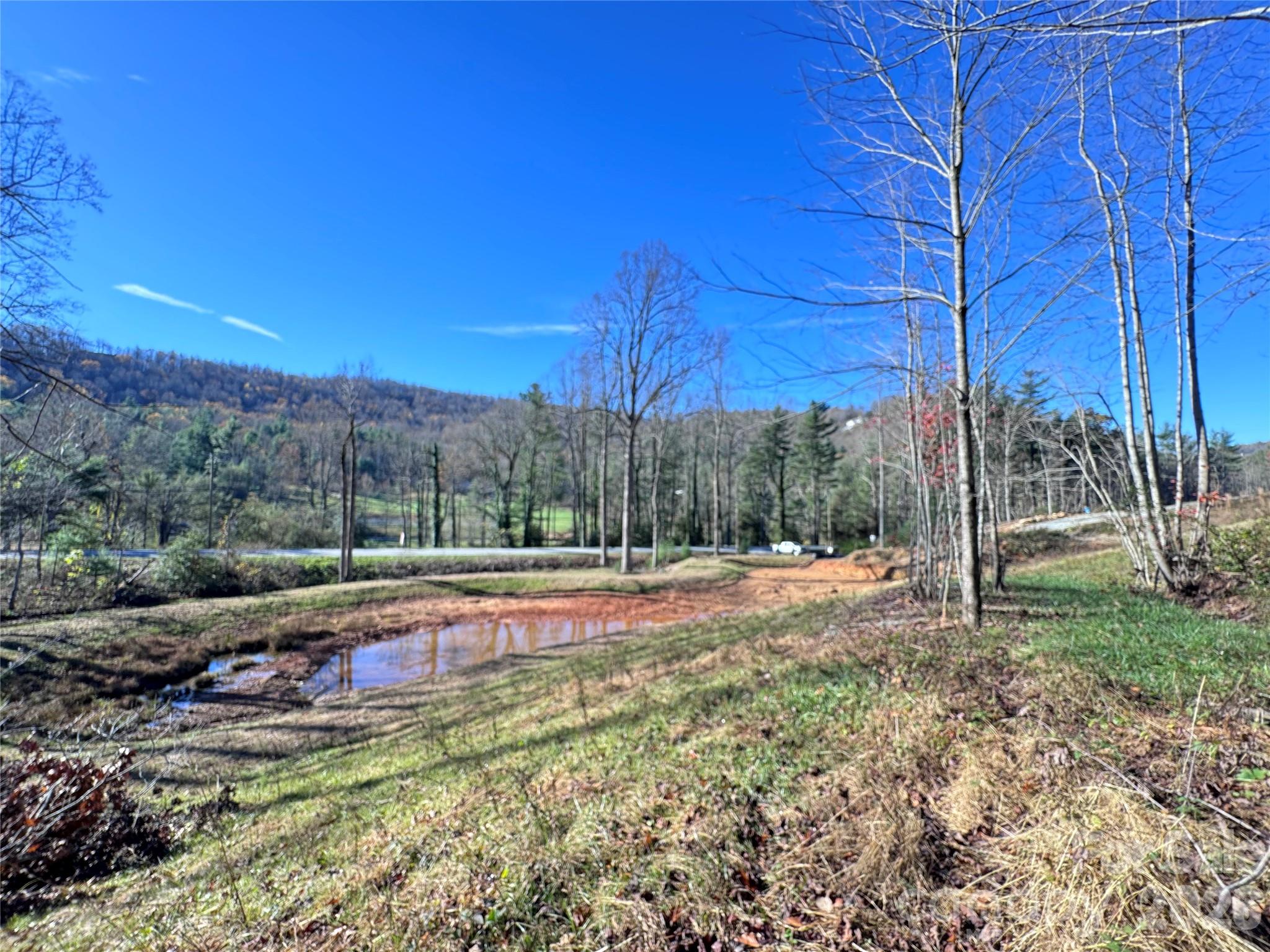 Acreage at 3200 Greenville Highway, Flat Rock, photo 2 of 29