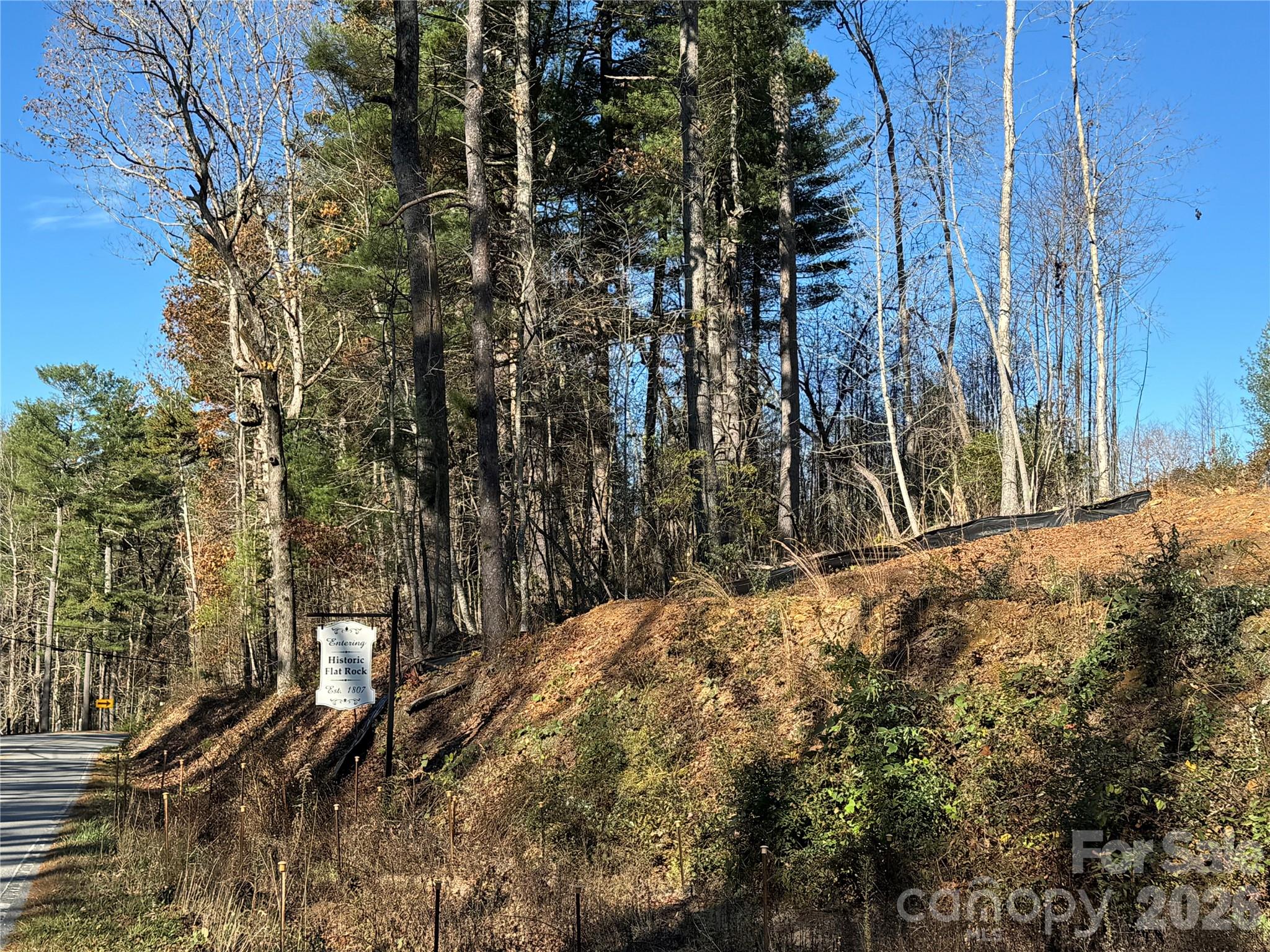 Acreage at 3200 Greenville Highway, Flat Rock, photo 6 of 29
