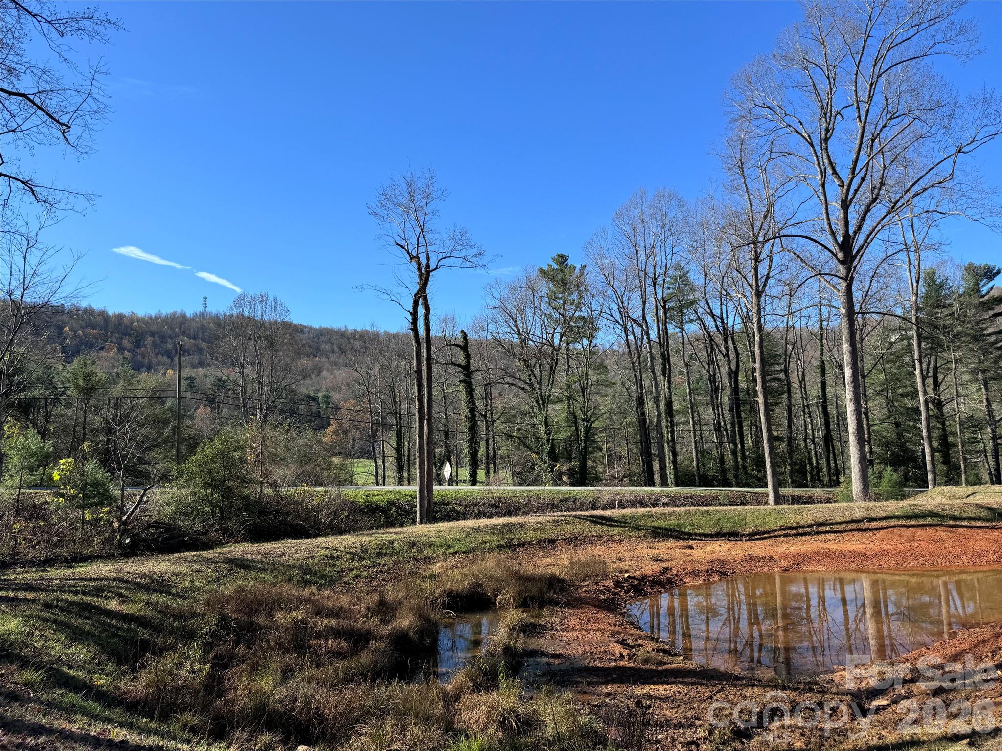 Acreage at 3200 Greenville Highway, Flat Rock, photo 9 of 29