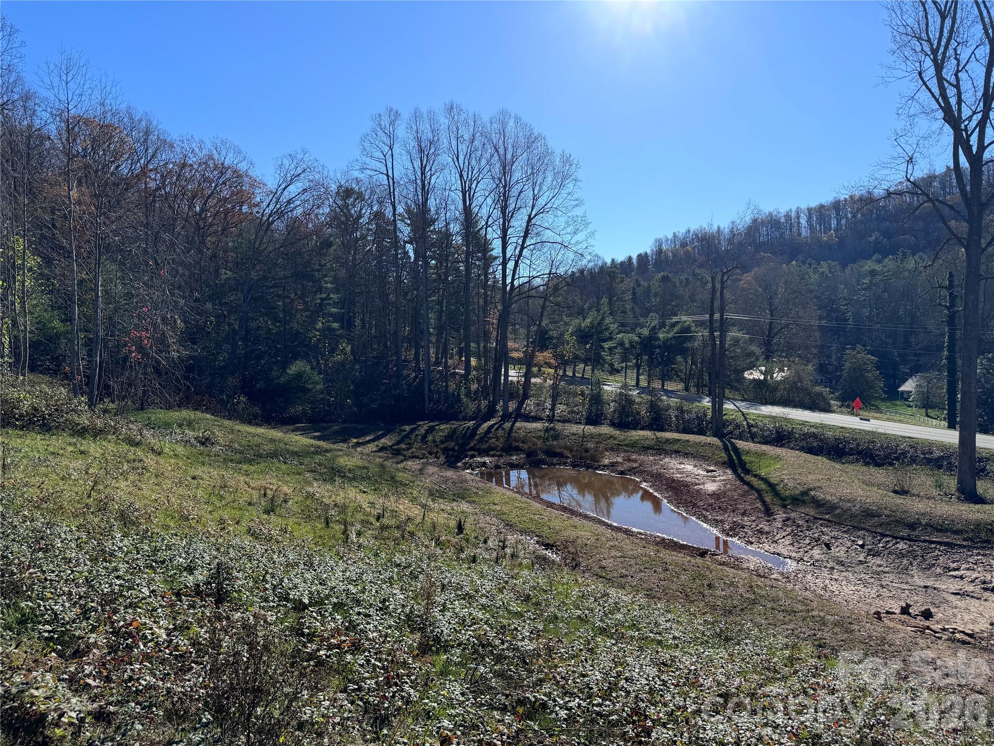 Acreage at 3200 Greenville Highway, Flat Rock, photo 10 of 29