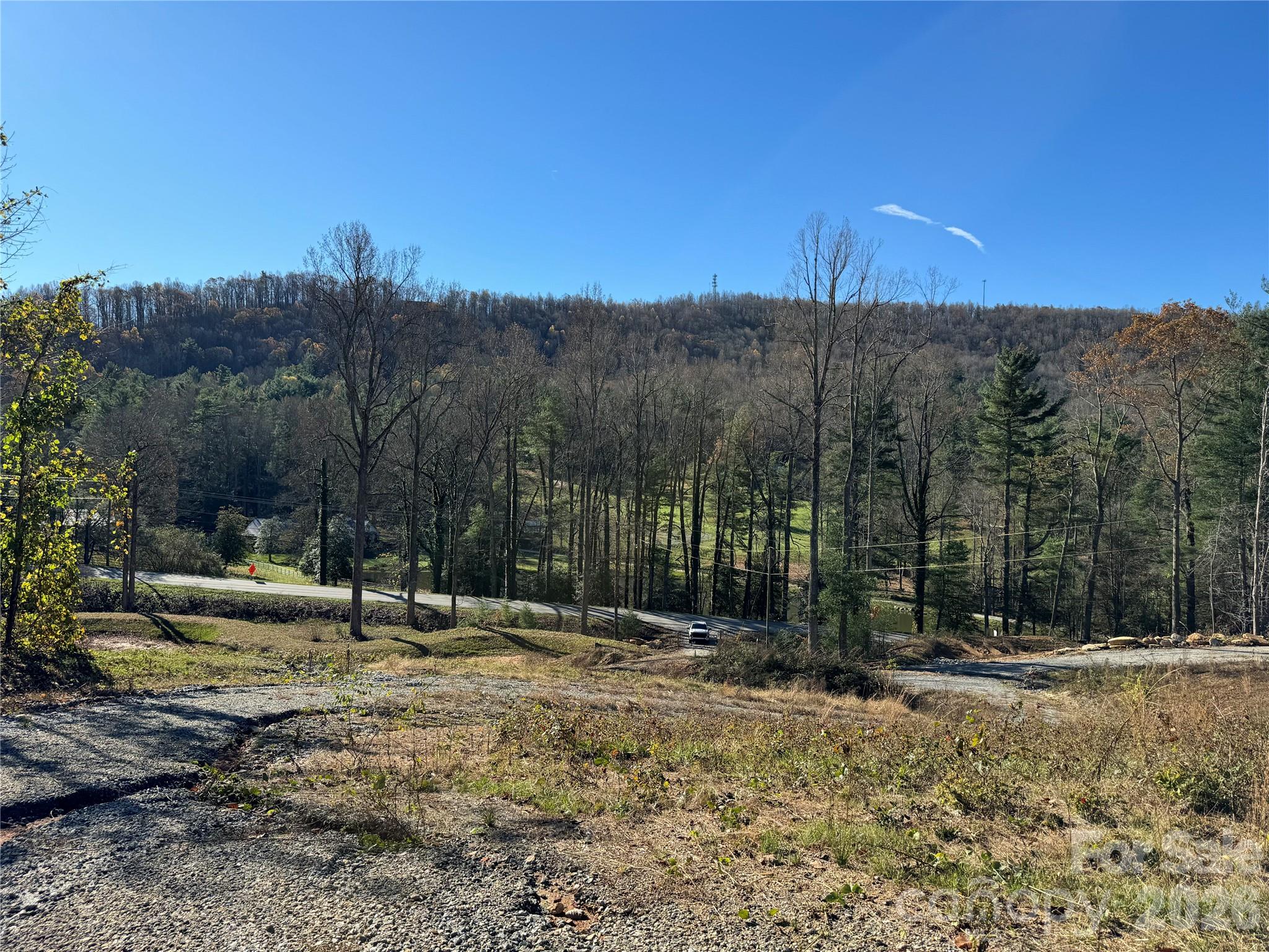 Acreage at 3200 Greenville Highway, Flat Rock, photo 11 of 29
