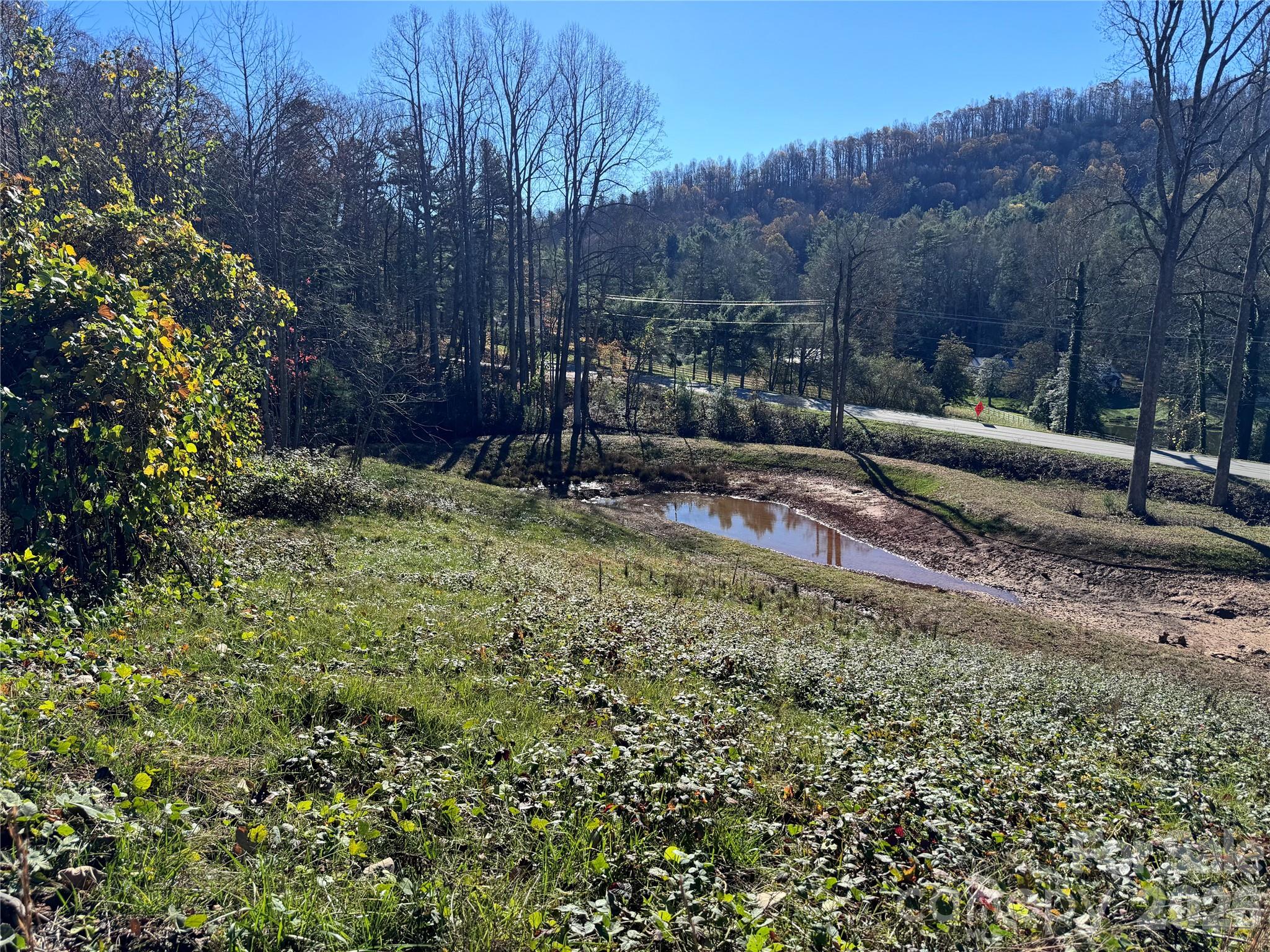 Acreage at 3200 Greenville Highway, Flat Rock, photo 13 of 29