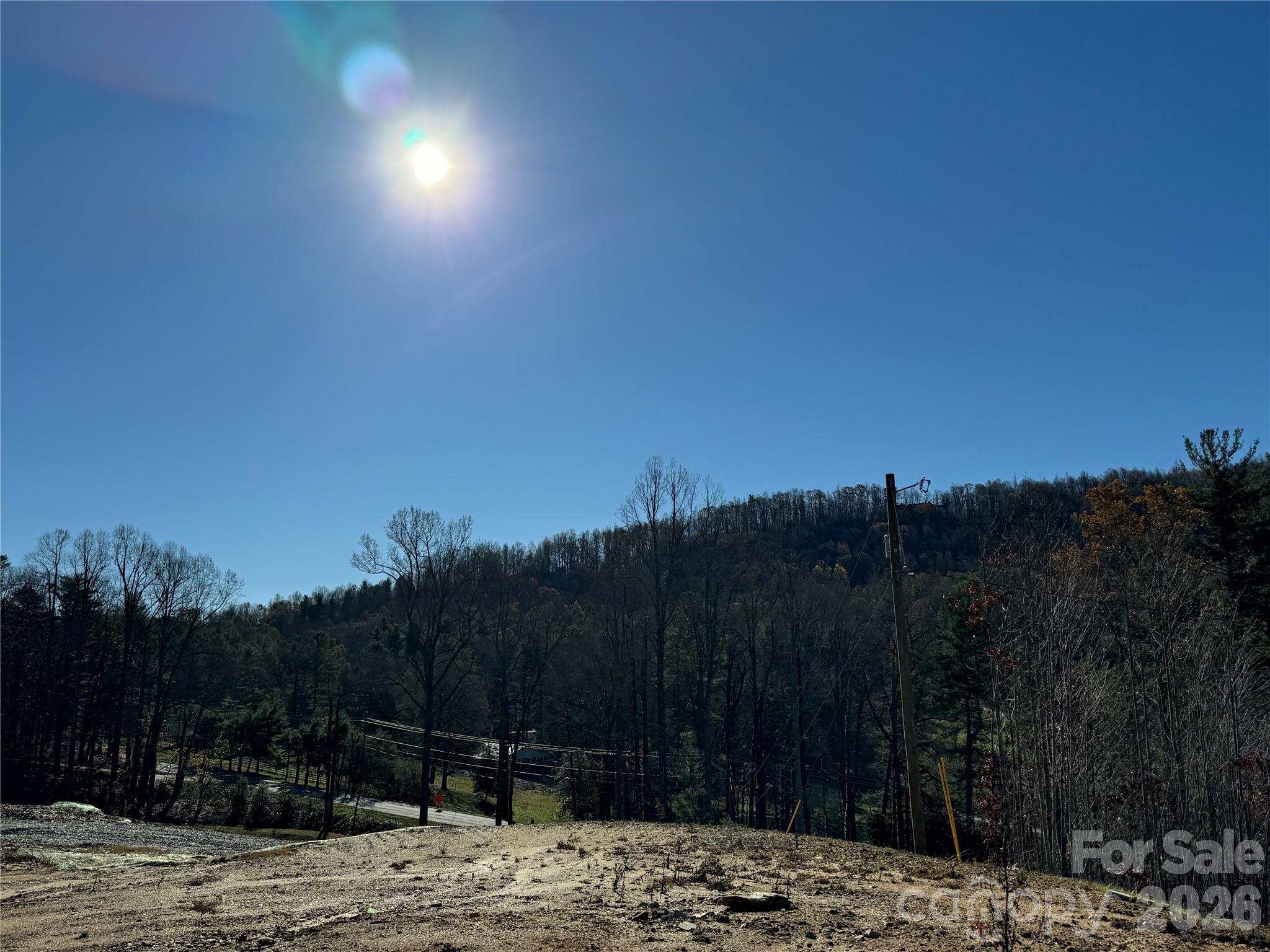 Acreage at 3200 Greenville Highway, Flat Rock, photo 15 of 29