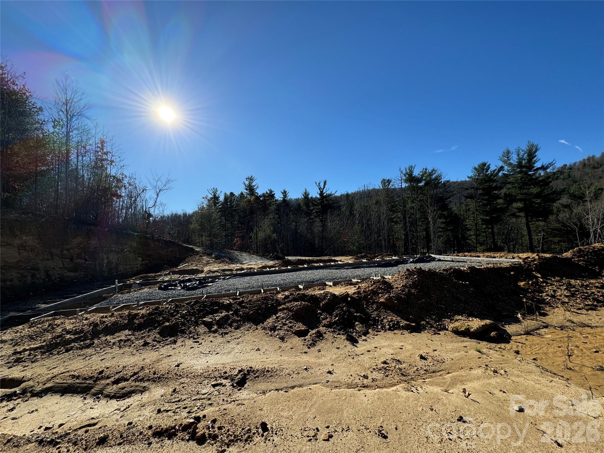Acreage at 3200 Greenville Highway, Flat Rock, photo 17 of 29