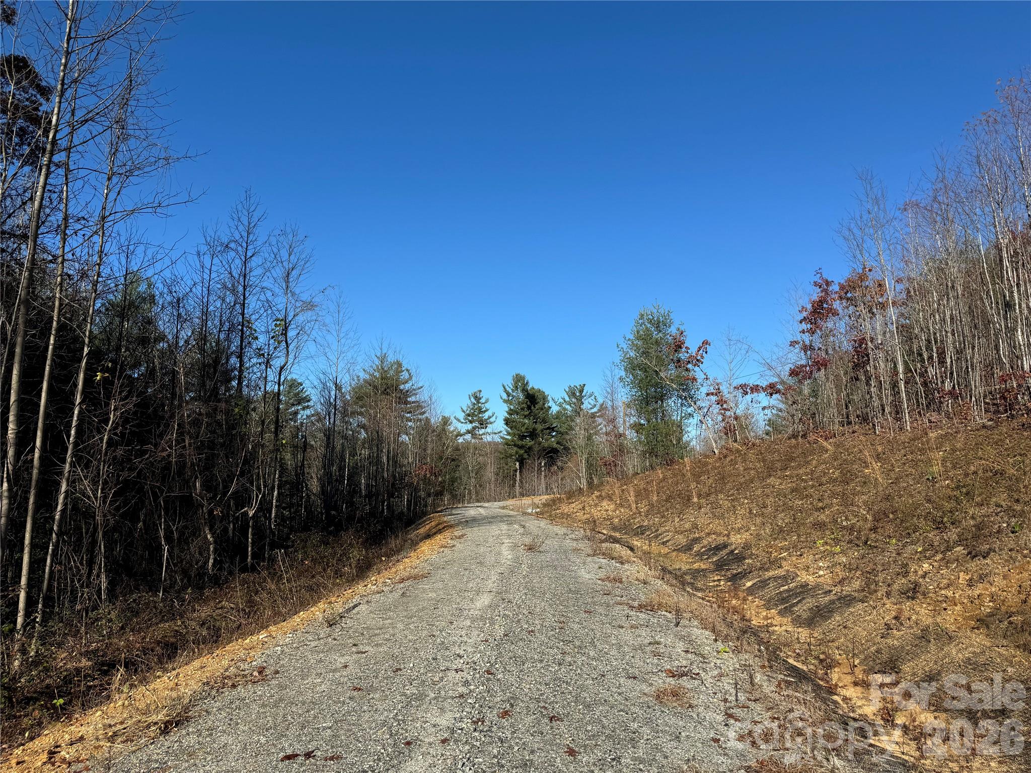 Acreage at 3200 Greenville Highway, Flat Rock, photo 20 of 29