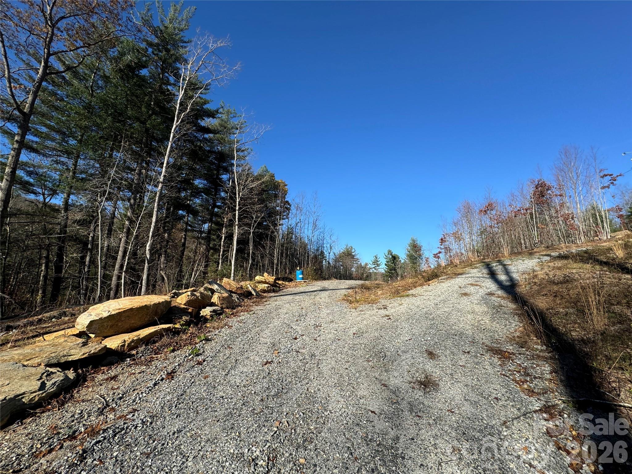 Acreage at 3200 Greenville Highway, Flat Rock, photo 21 of 29