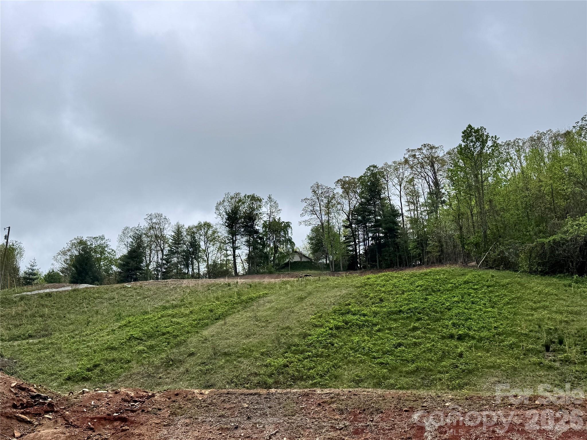 Acreage at 3200 Greenville Highway, Flat Rock, photo 22 of 29