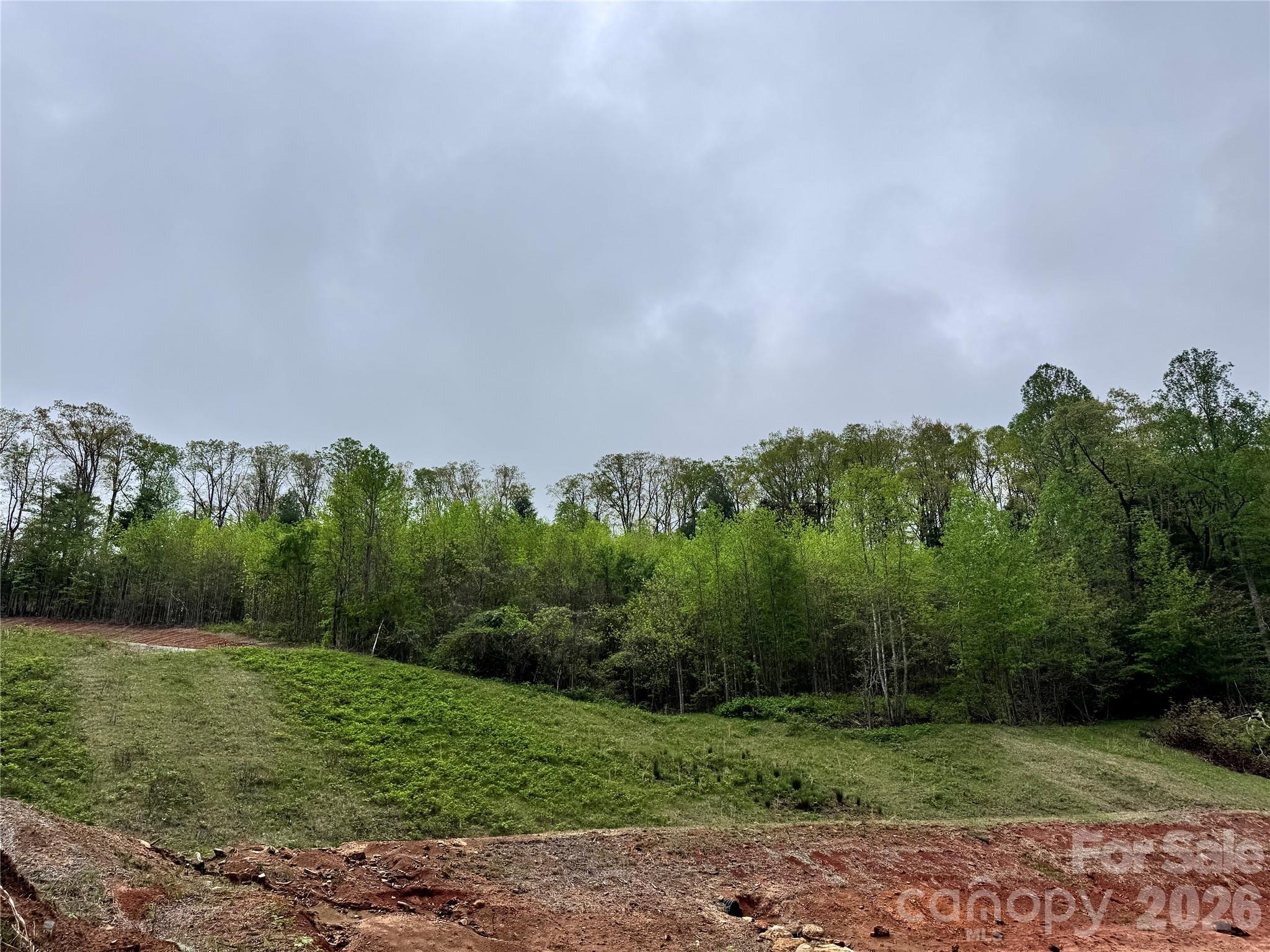 Acreage at 3200 Greenville Highway, Flat Rock, photo 23 of 29