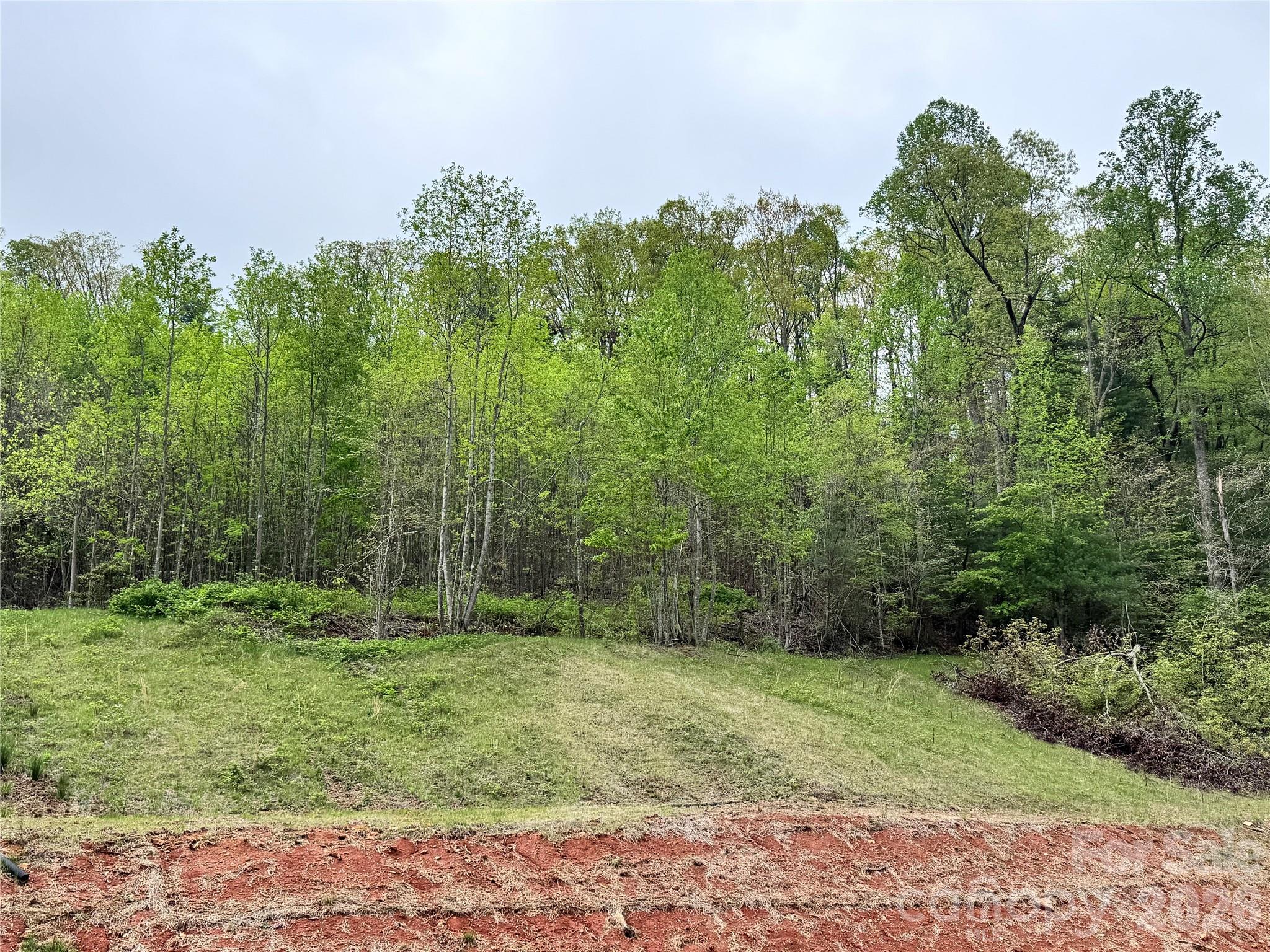 Acreage at 3200 Greenville Highway, Flat Rock, photo 25 of 29