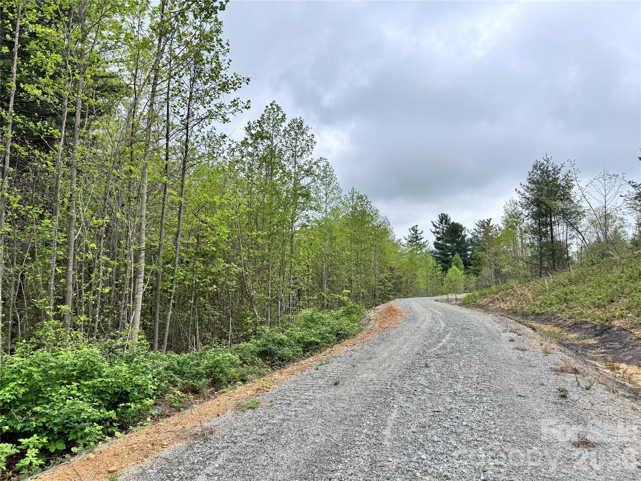Acreage at 3200 Greenville Highway, Flat Rock, photo 26 of 29
