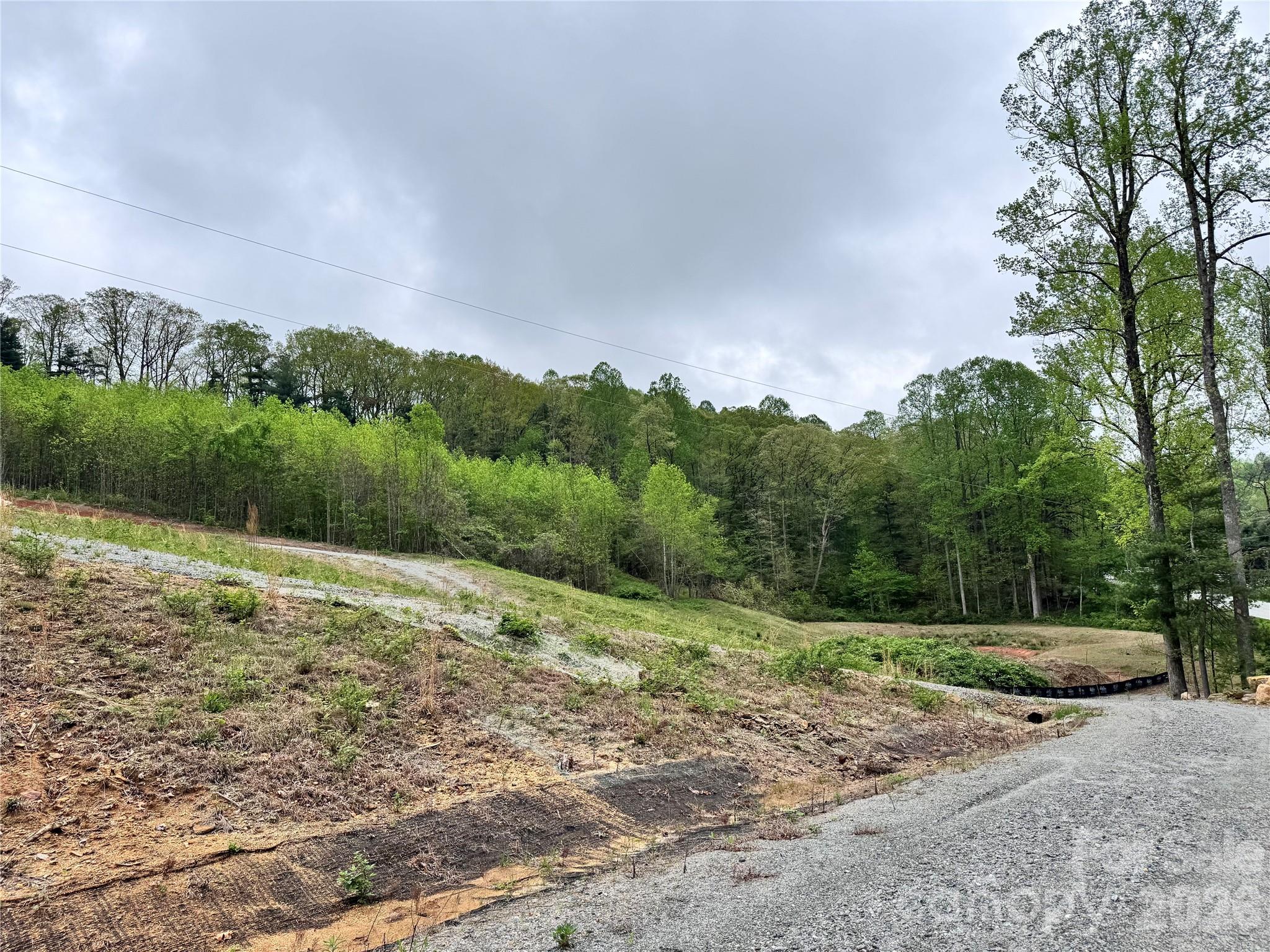 Acreage at 3200 Greenville Highway, Flat Rock, photo 27 of 29