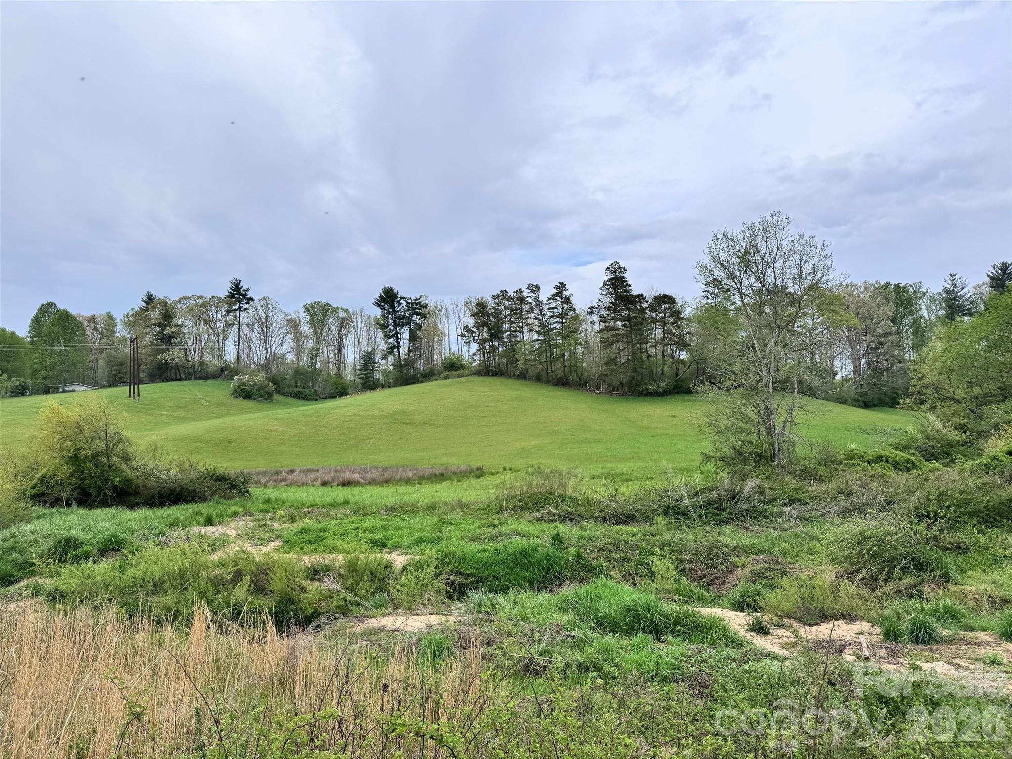 Acreage at 38 Flourish Farm Lane, Asheville