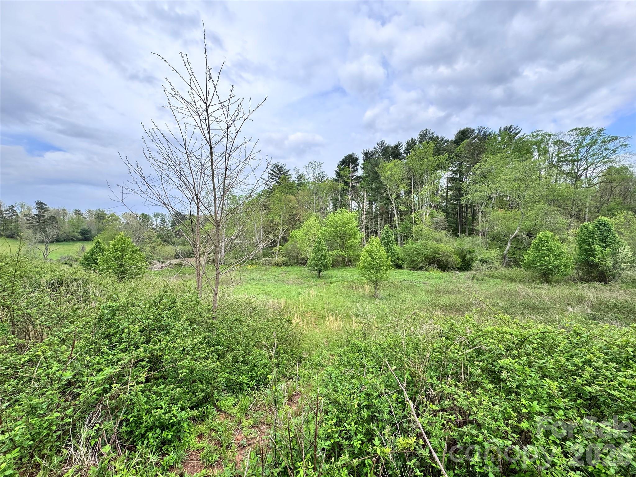 Acreage at 38 Flourish Farm Lane, Asheville, photo 2 of 45