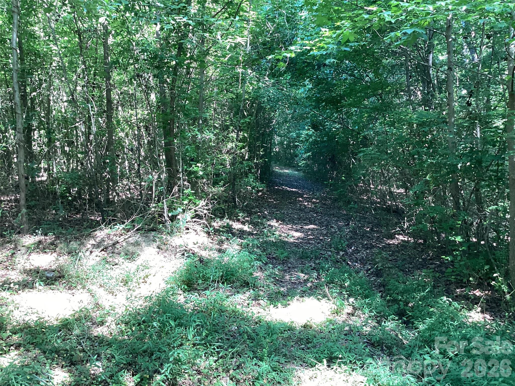 Trail through forest - 2870 Dunns Mountain Road, Salisbury